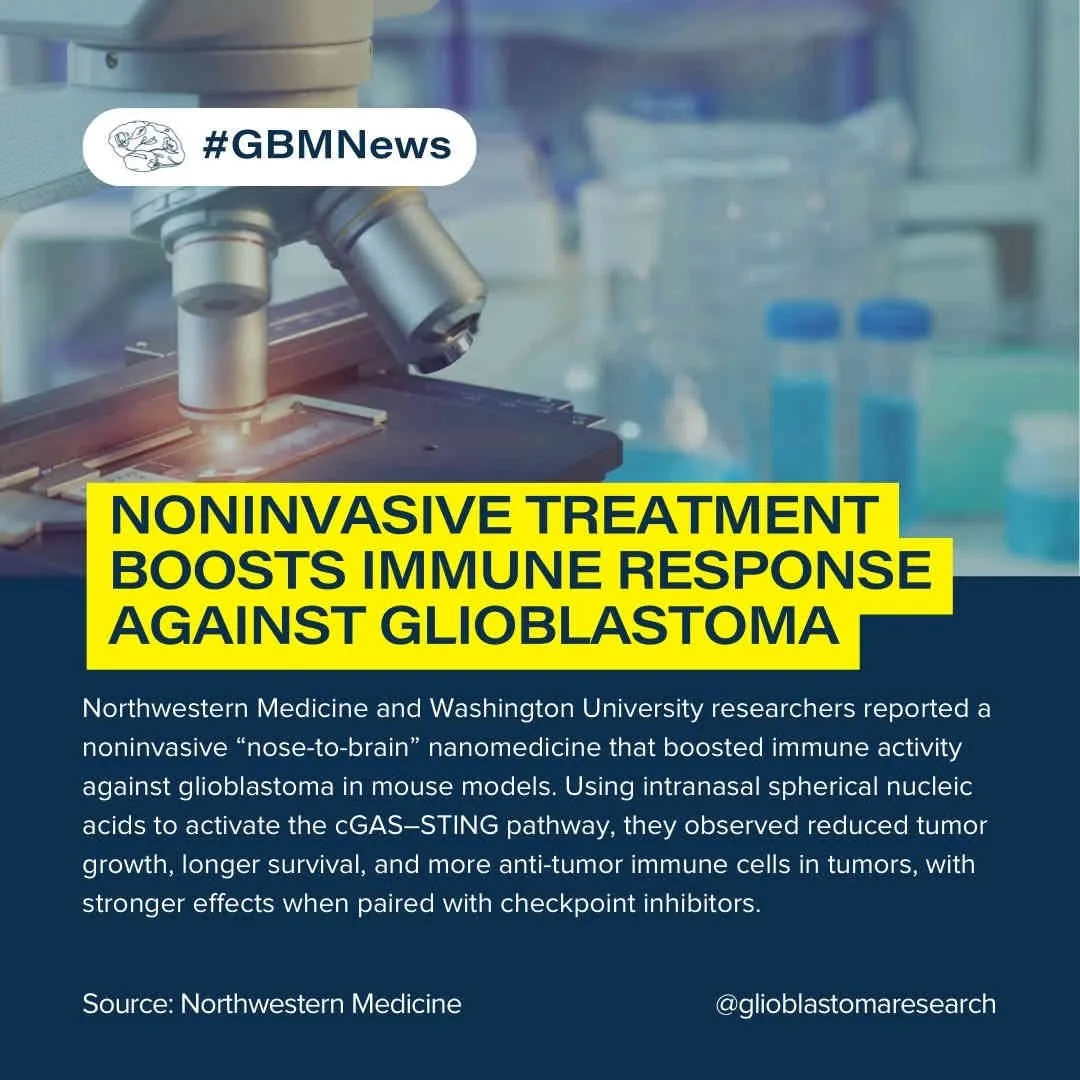 Noninvasive Treatment Boosts Immune Response Against Glioblastoma