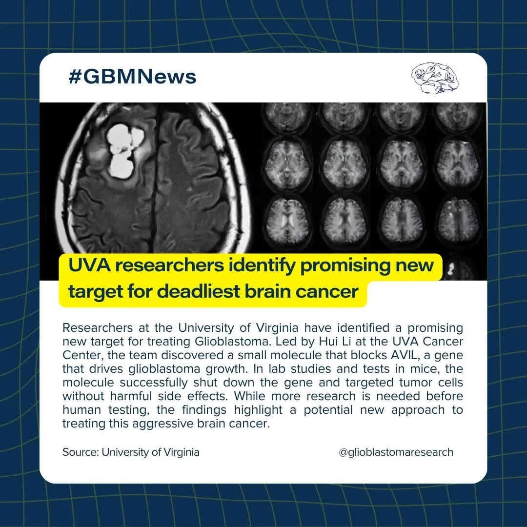 UVA Researchers Identify Promising New Target For Deadliest Brain Cancer