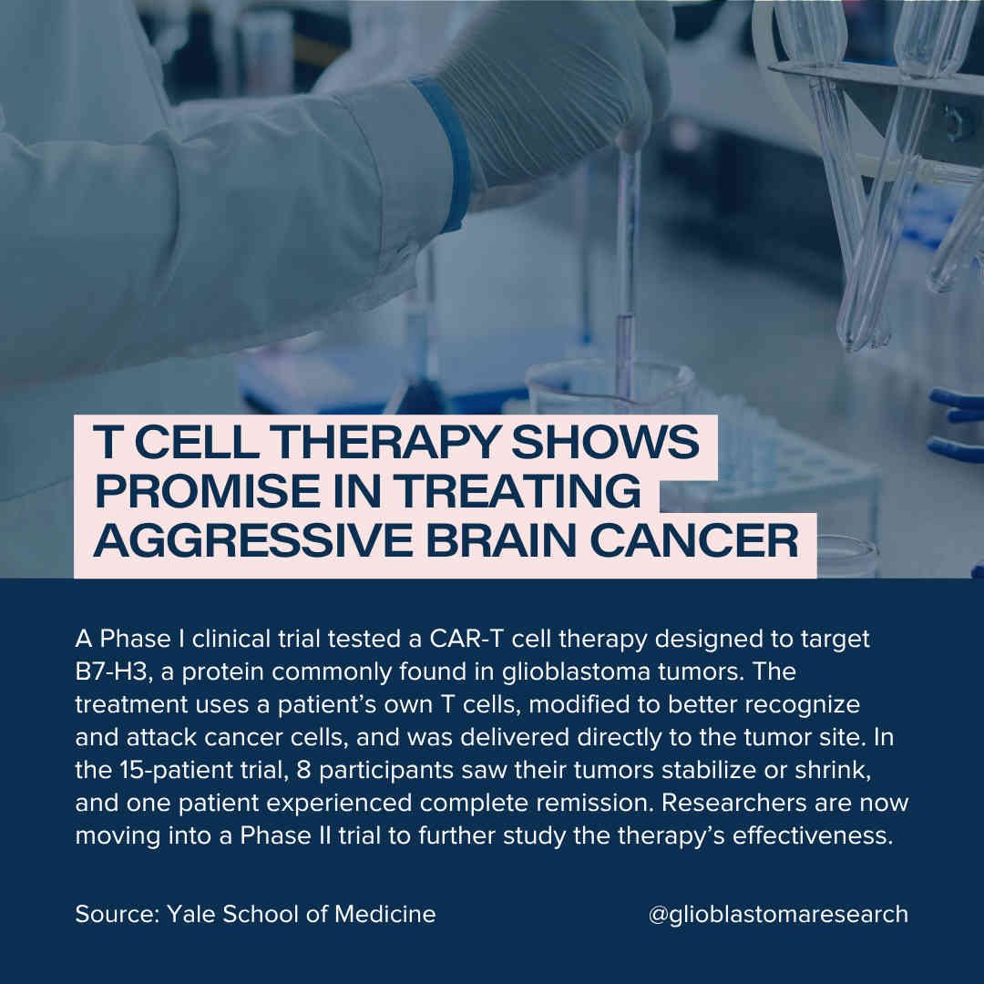 ​T Cell Therapy Shows Promise In Treating Aggressive Brain Cancer