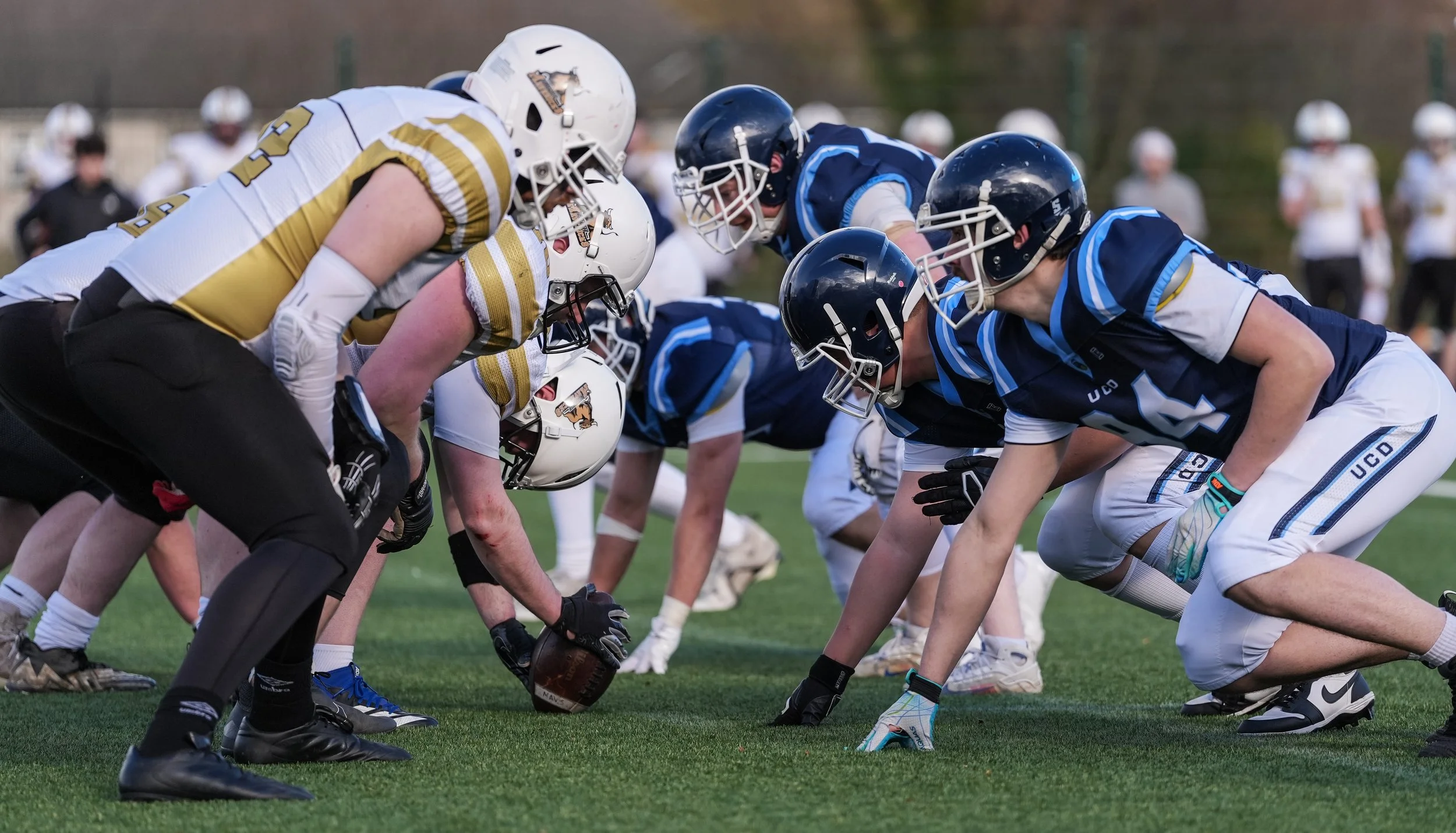UCD v Louth Mavericks 2026