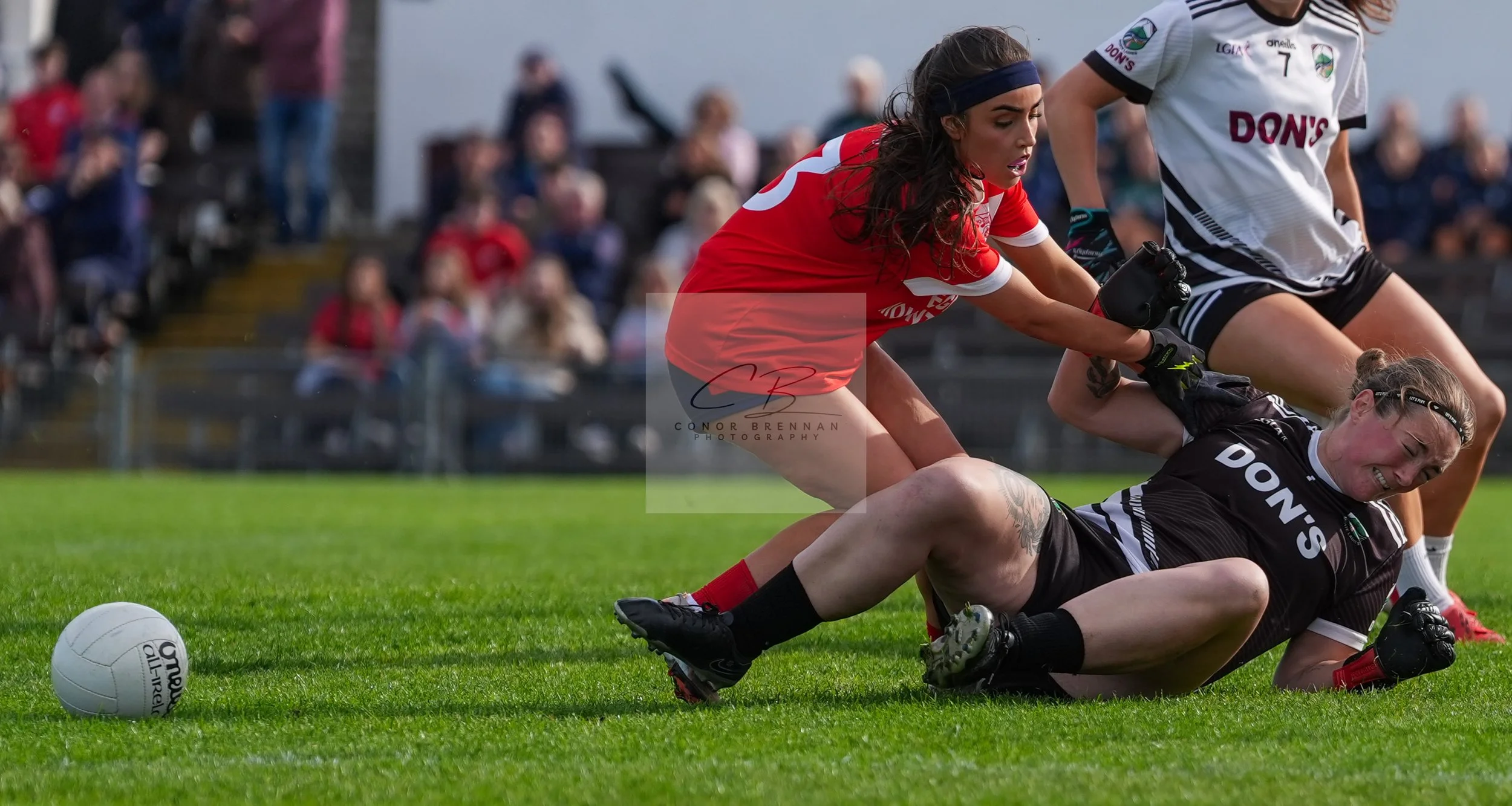 20261003-BPC01moate089.jpg