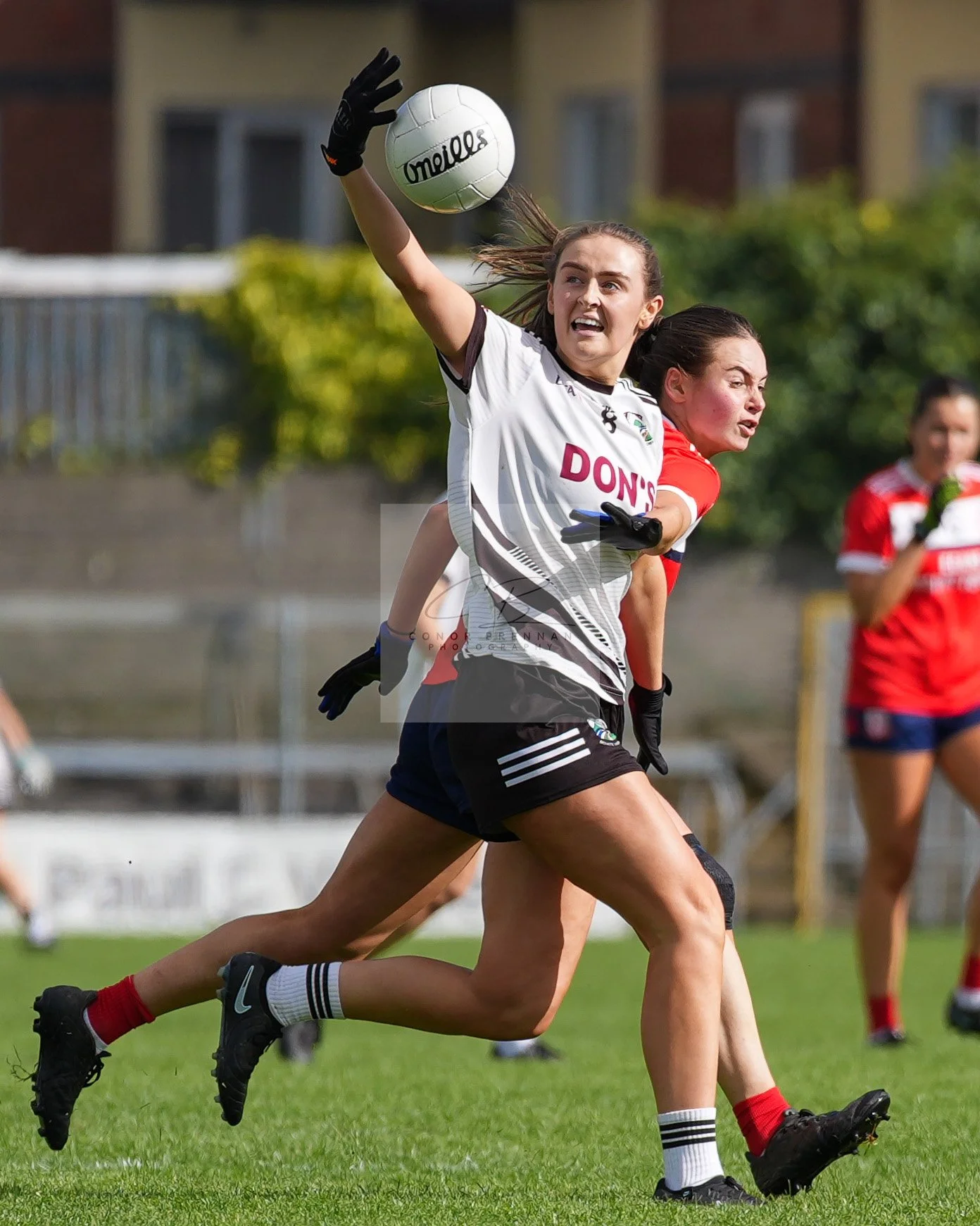 20261003-BPC00moate447.jpg