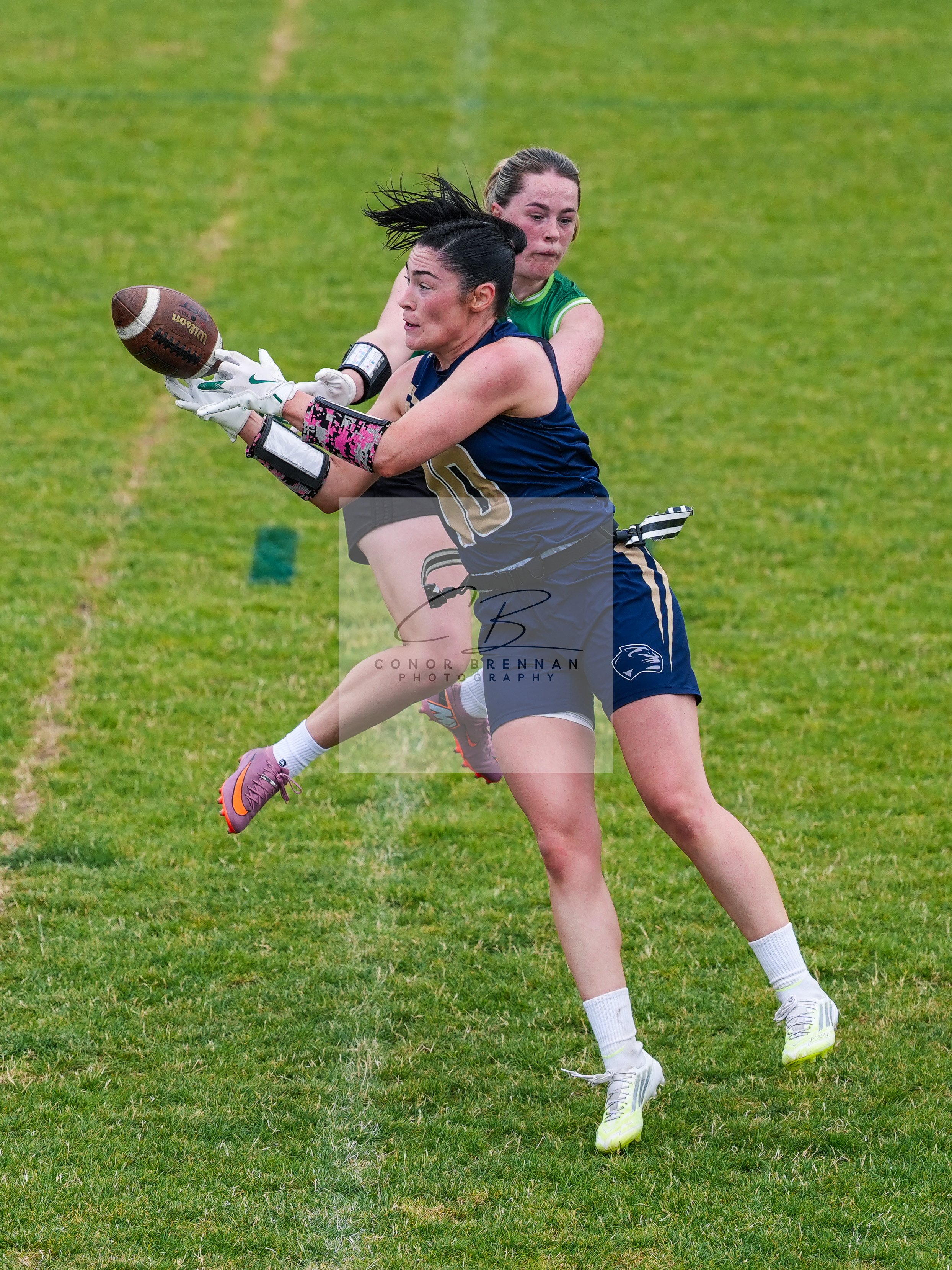 CC_01717.jpg