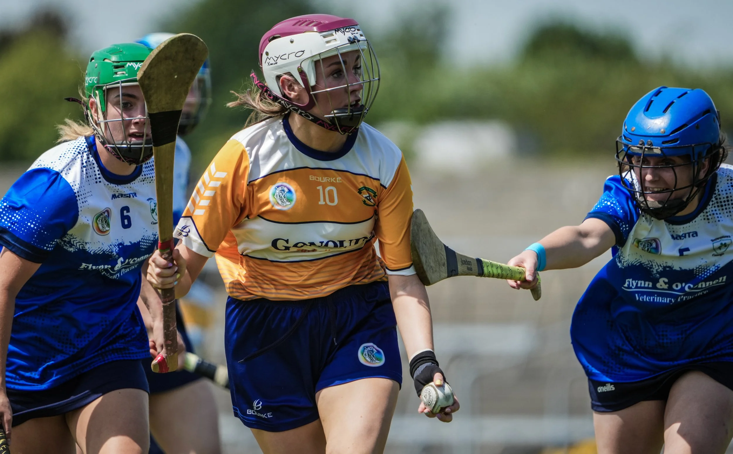 Westmeath Division Two League Final 2025
