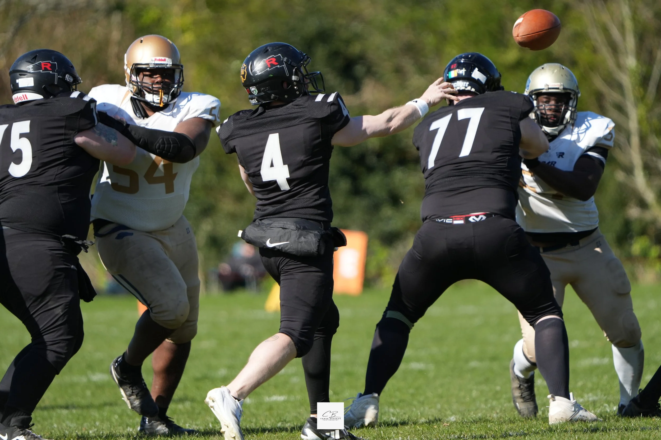 7IV08017.jpg