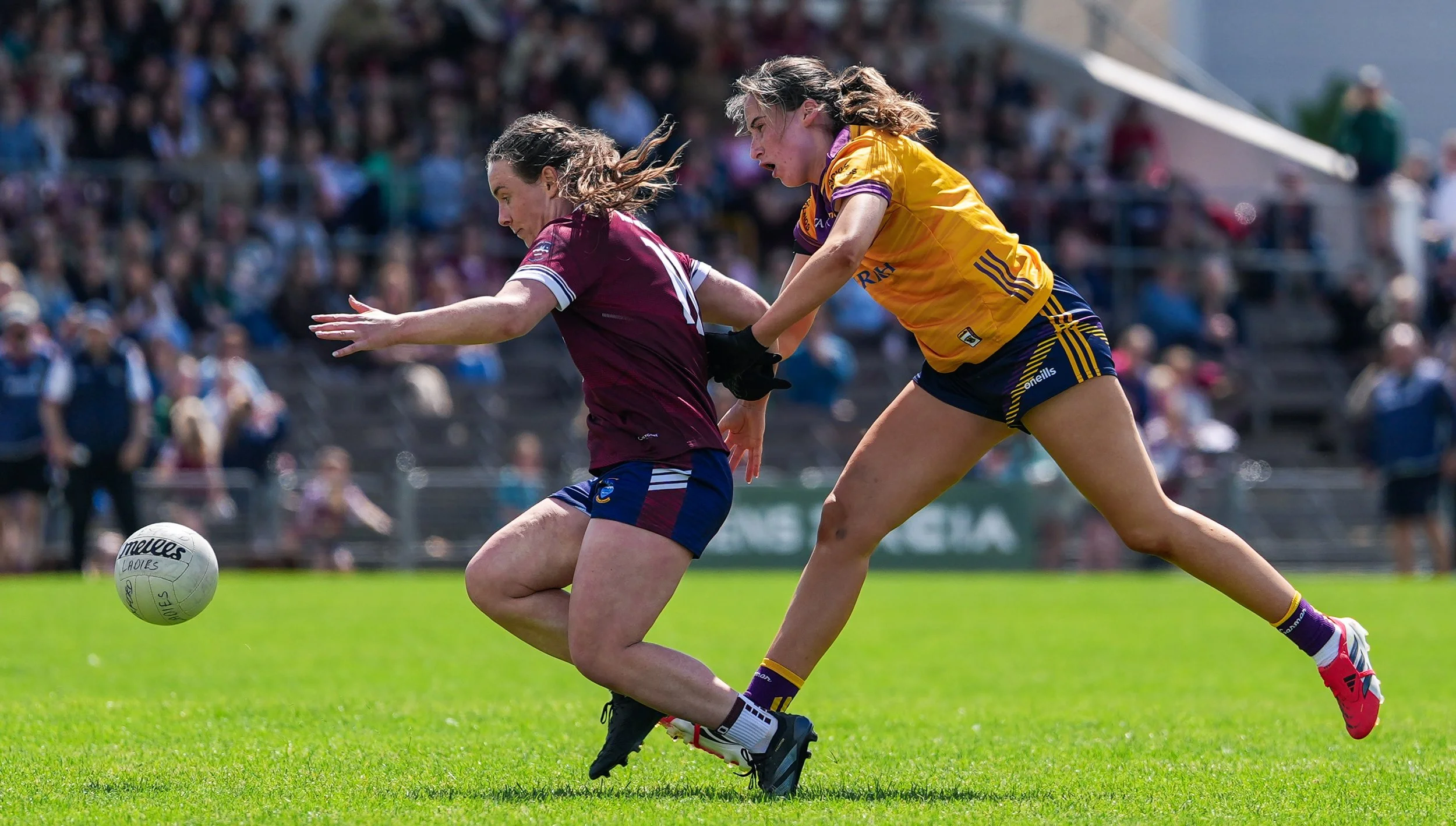 Westmeath v Wexford LGFA All-Ireland Series 2026