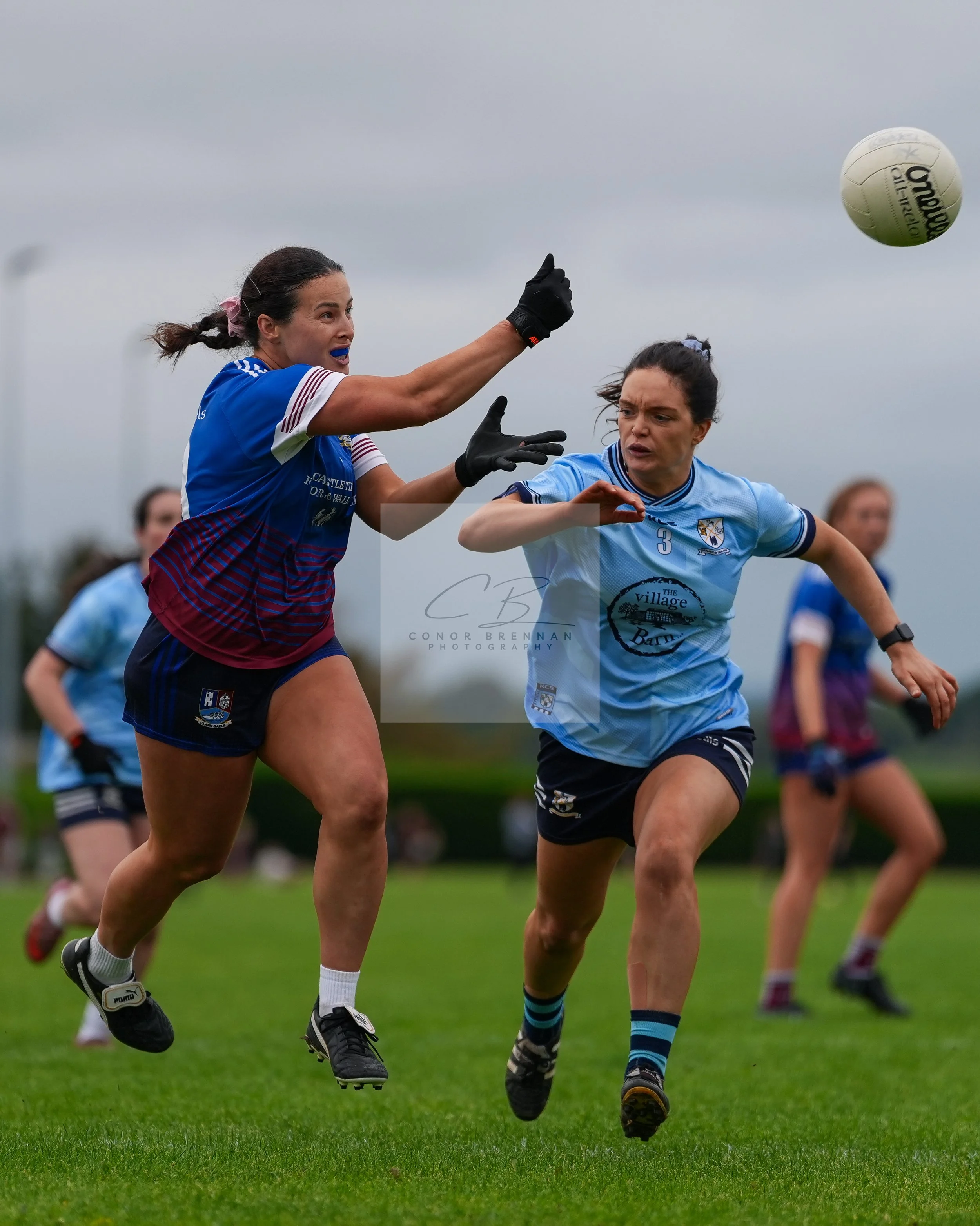 20261004-BPC05666.jpg