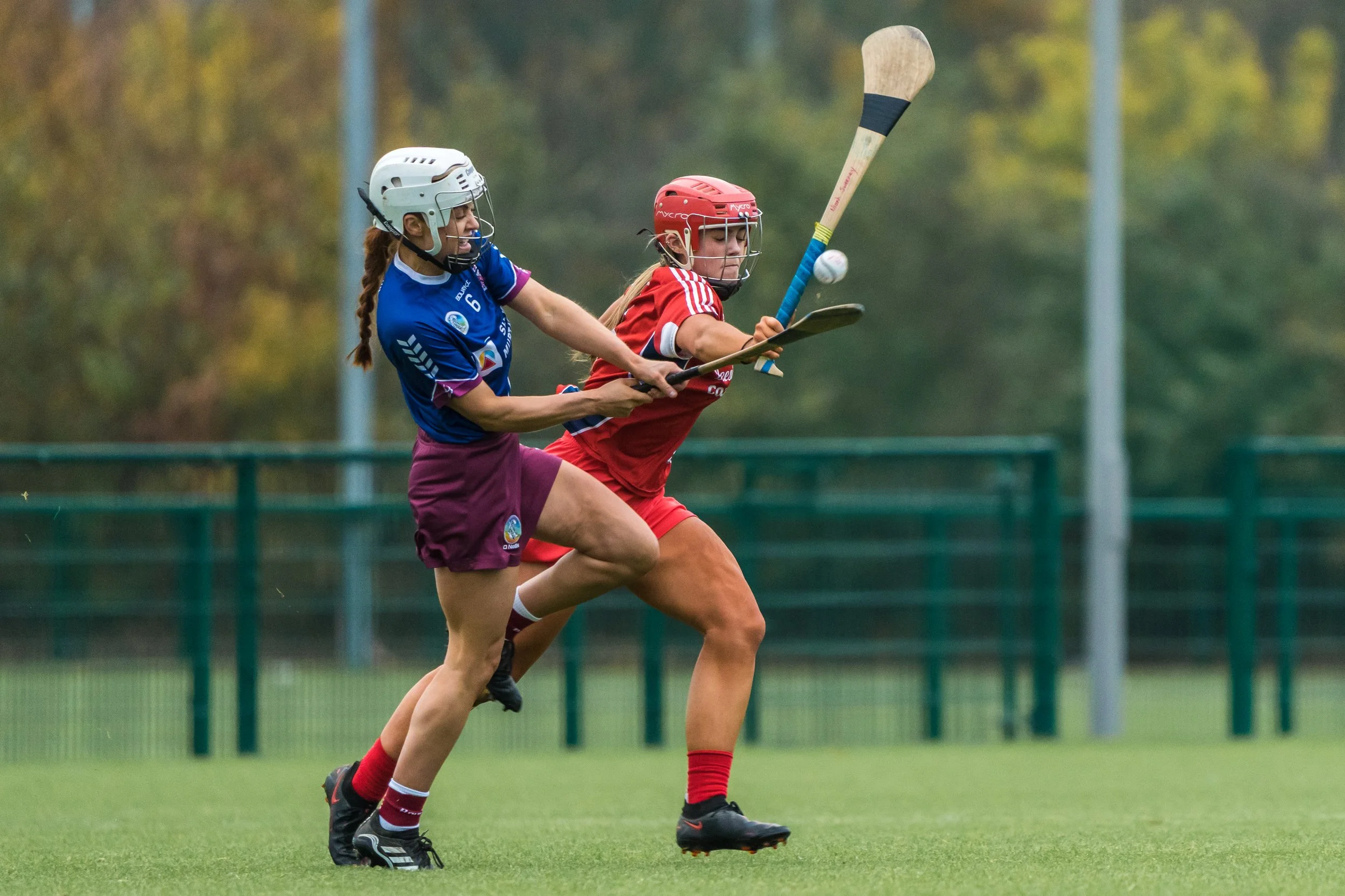 Delvin v St Brides Leinster Junior B Final