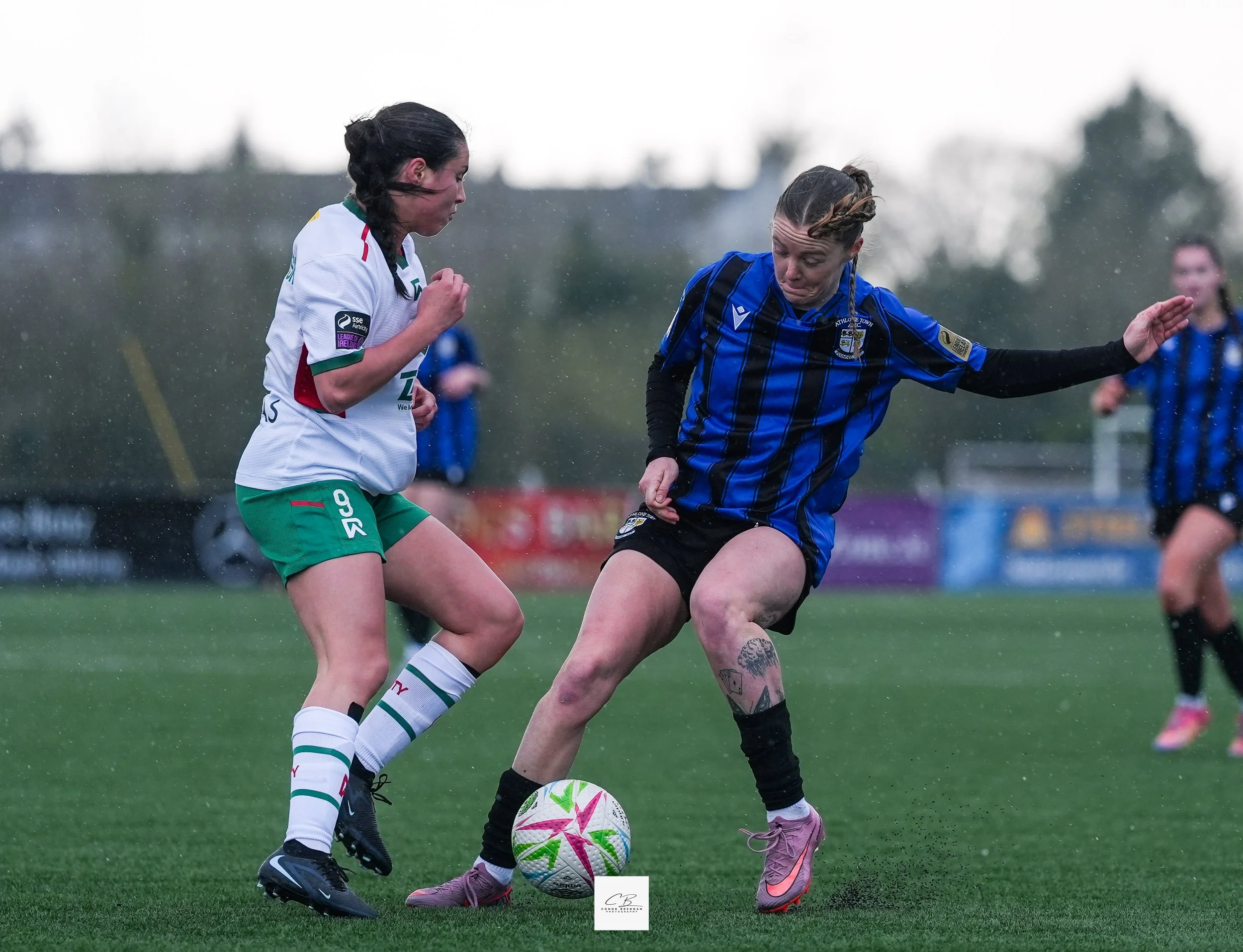 CBPzff00447.jpg