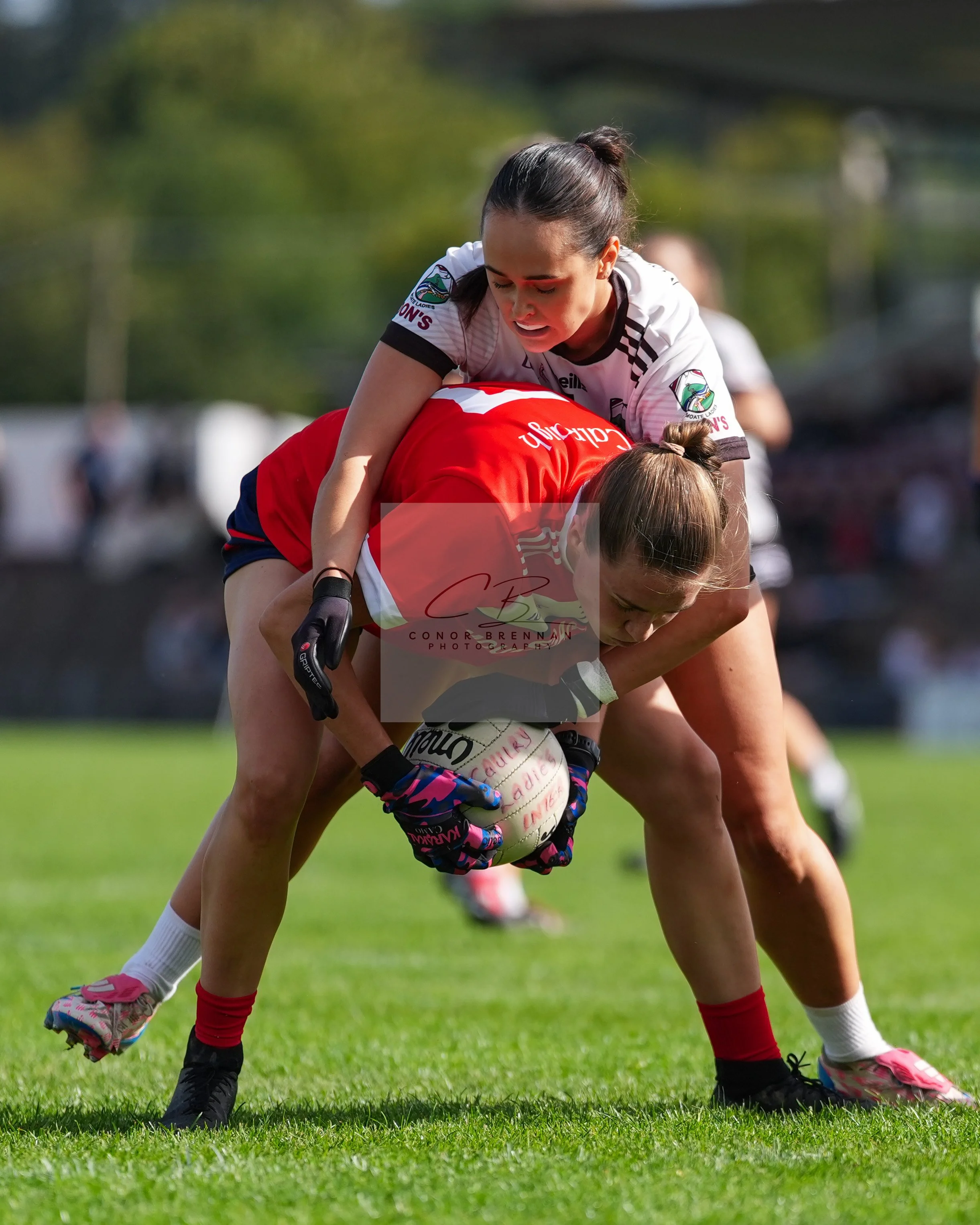 20261003-Moate0314.jpg
