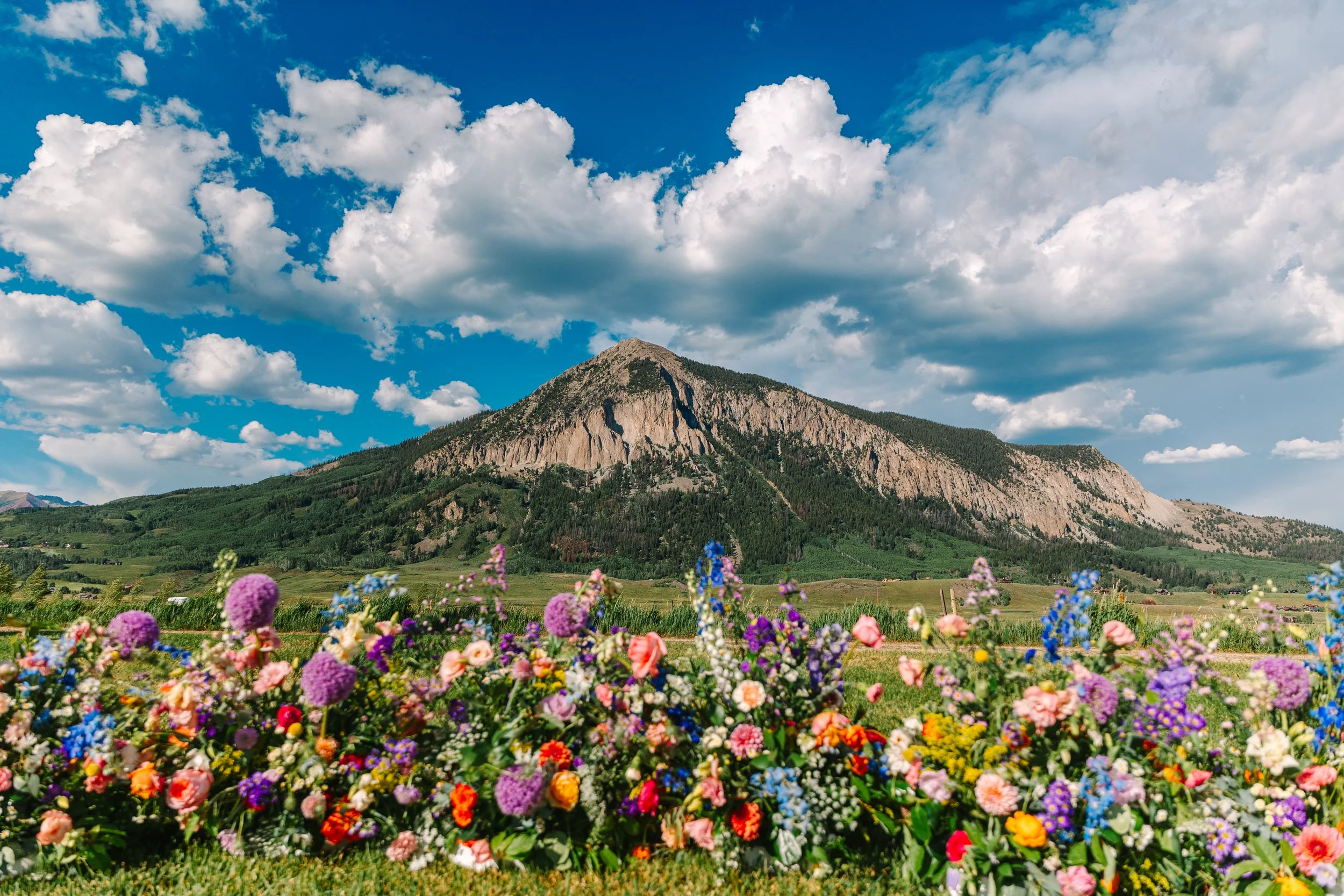 Annemarie+Eric-TownRanchWedding-467.jpg