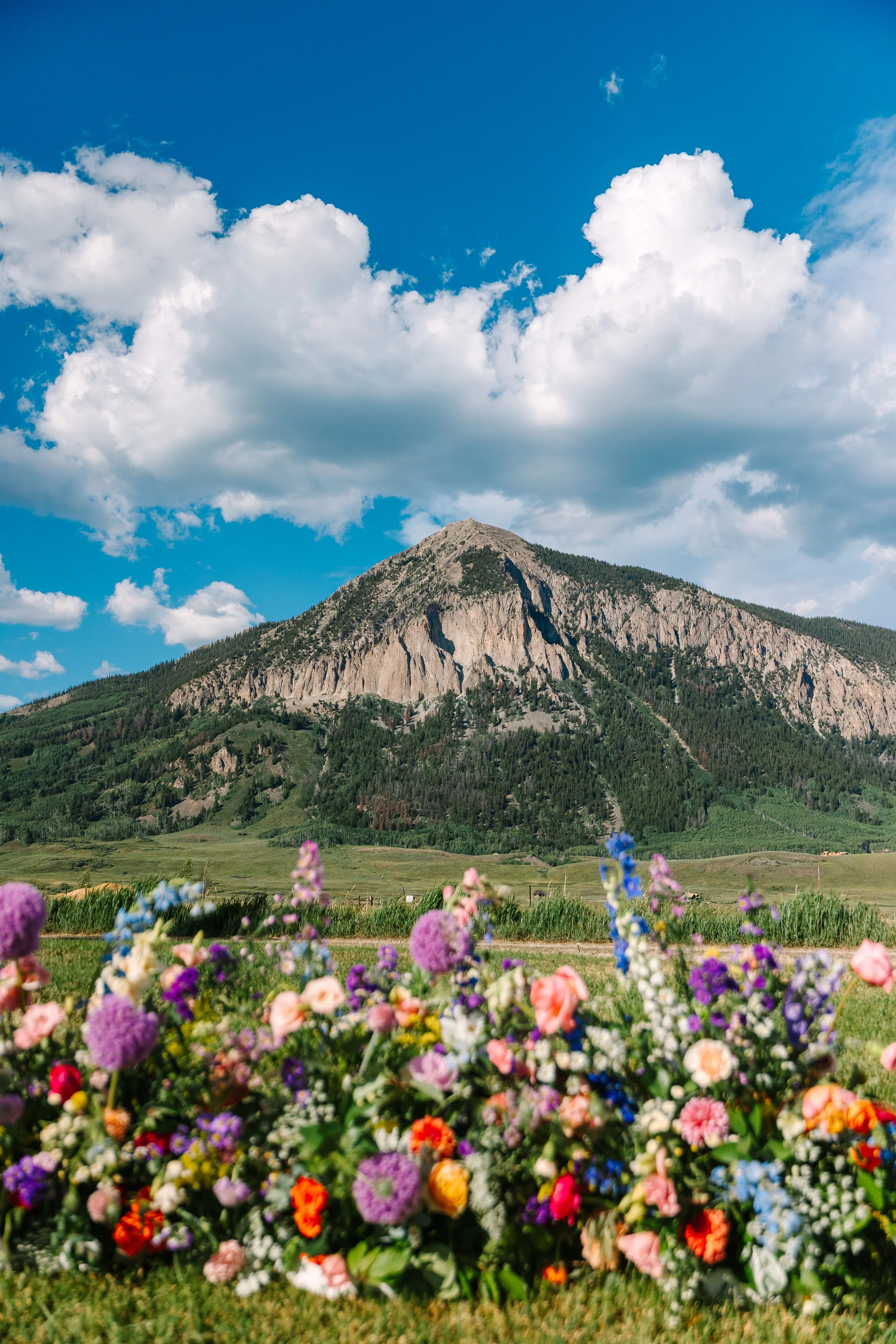 Annemarie+Eric-TownRanchWedding-465.jpg