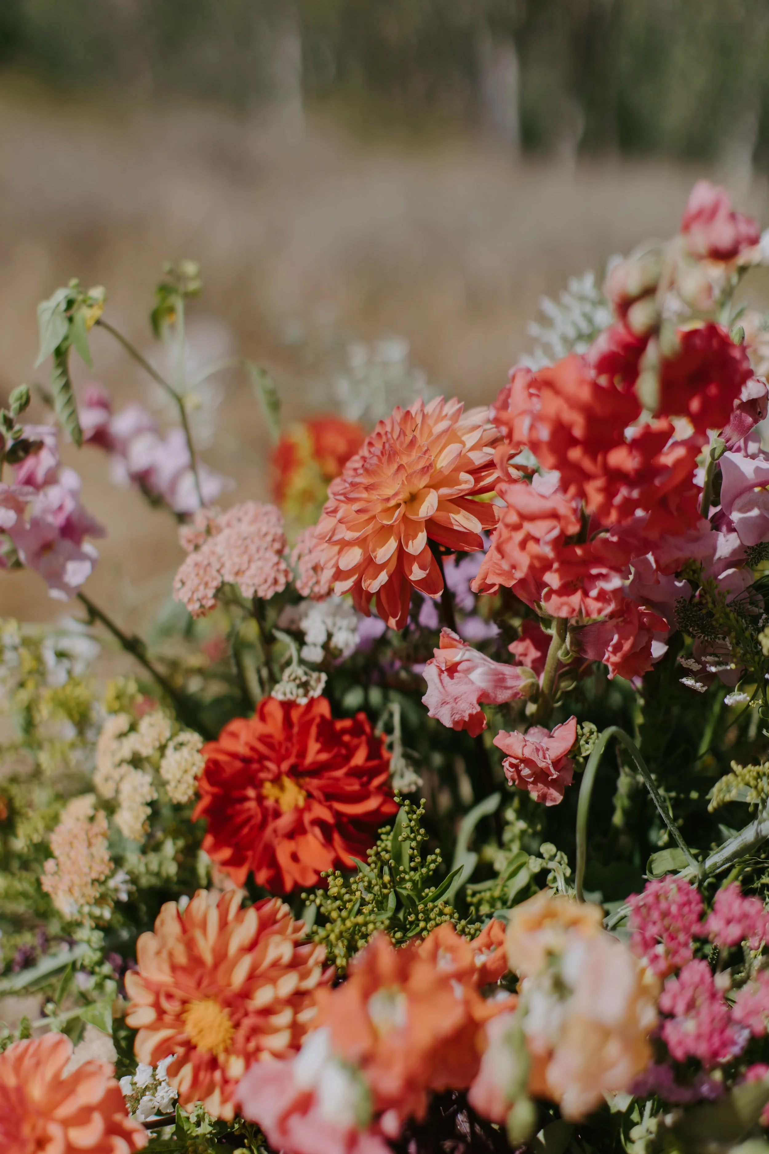 Kristina-Ronnie-Crested-Butte-Wedding-Erika-El-Photography0171.jpg