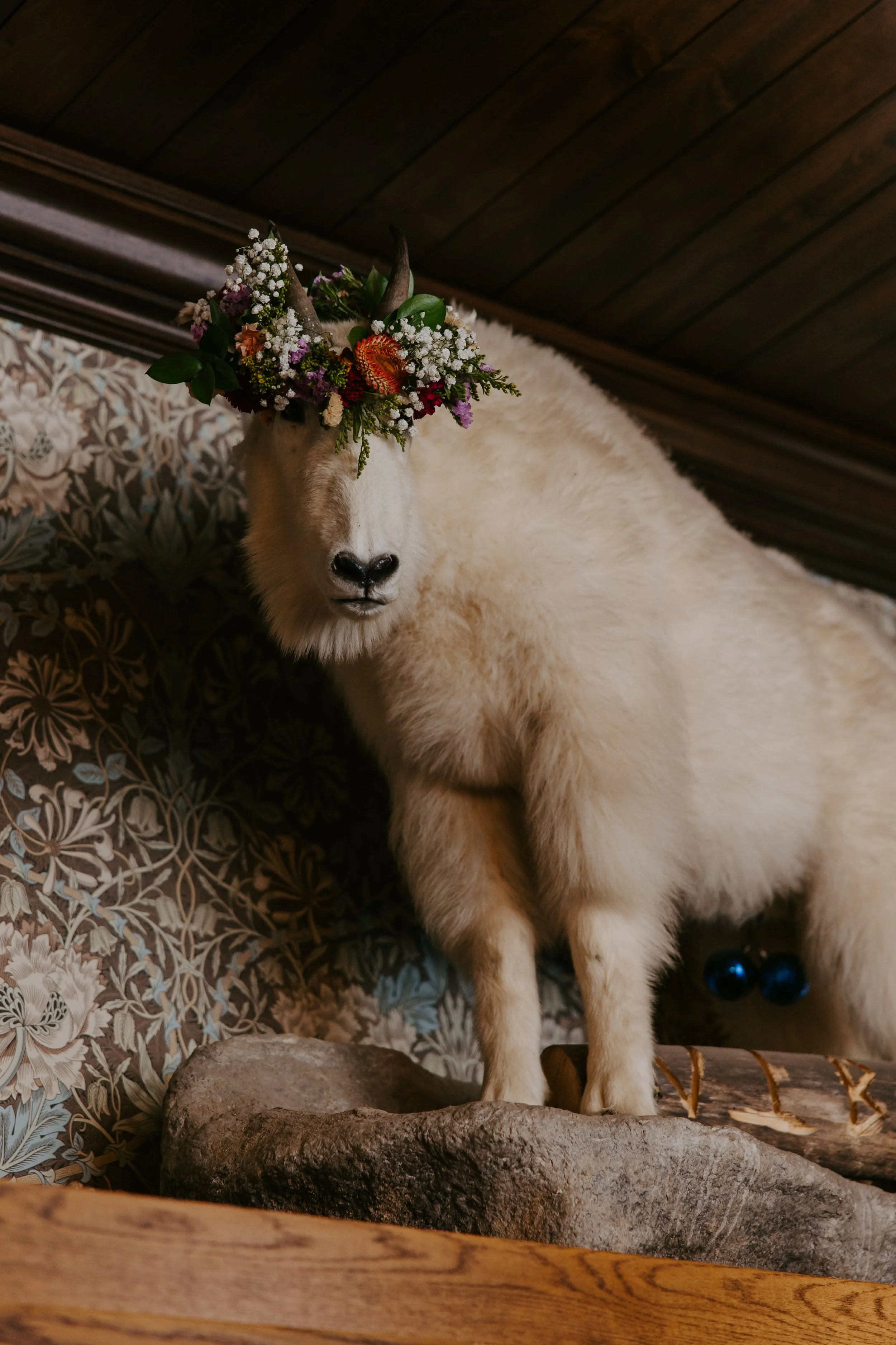 Kristina-Ronnie-Crested-Butte-Wedding-Erika-El-Photography0552.jpg