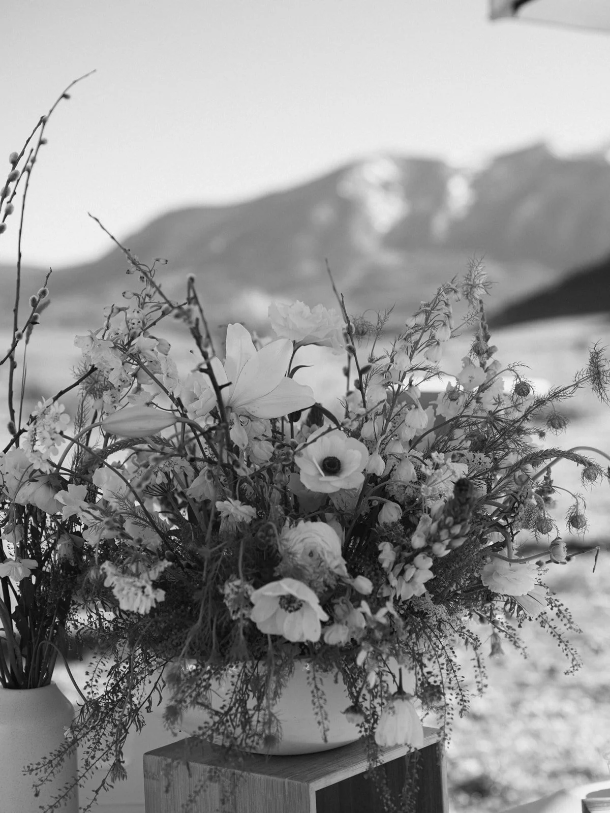 Leah Black Photography-Mack + Ricky Wedding-Crested Butte-1165_websize.jpg