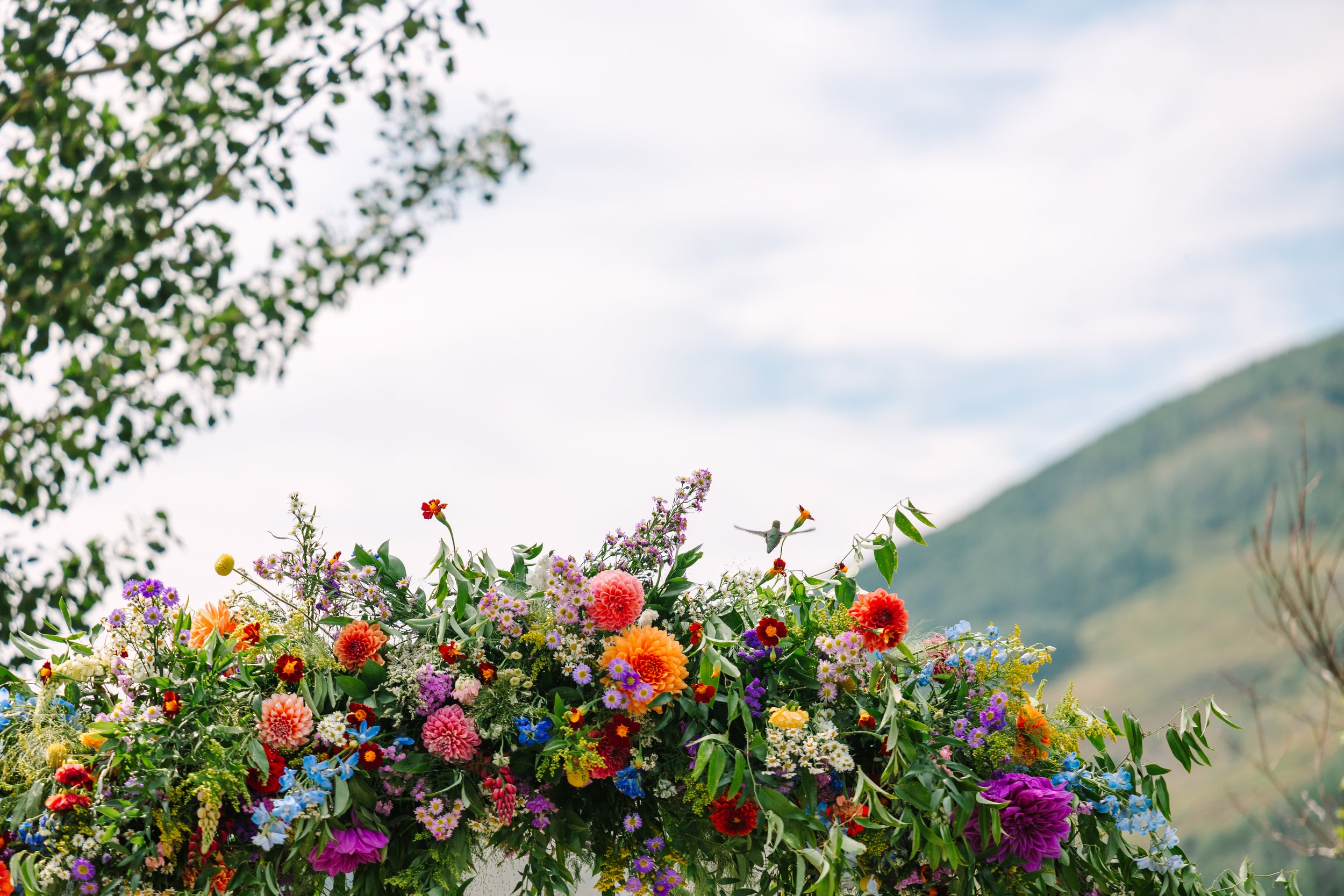 Mackenzie+SamWedding-MountainGarden-147.jpg