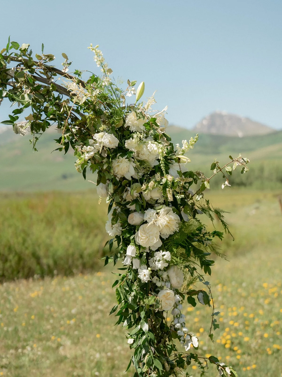 Leah Black Photography-Mack + Ricky Wedding-Crested Butte-693_websize.jpg