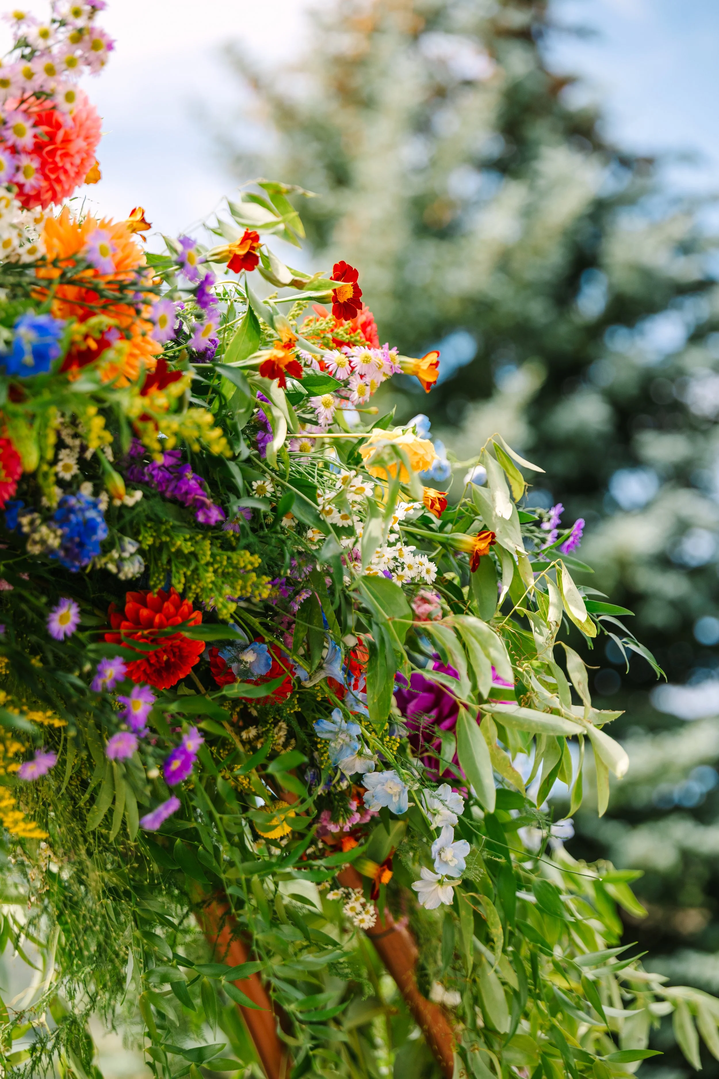 Mackenzie+SamWedding-MountainGarden-142.jpg