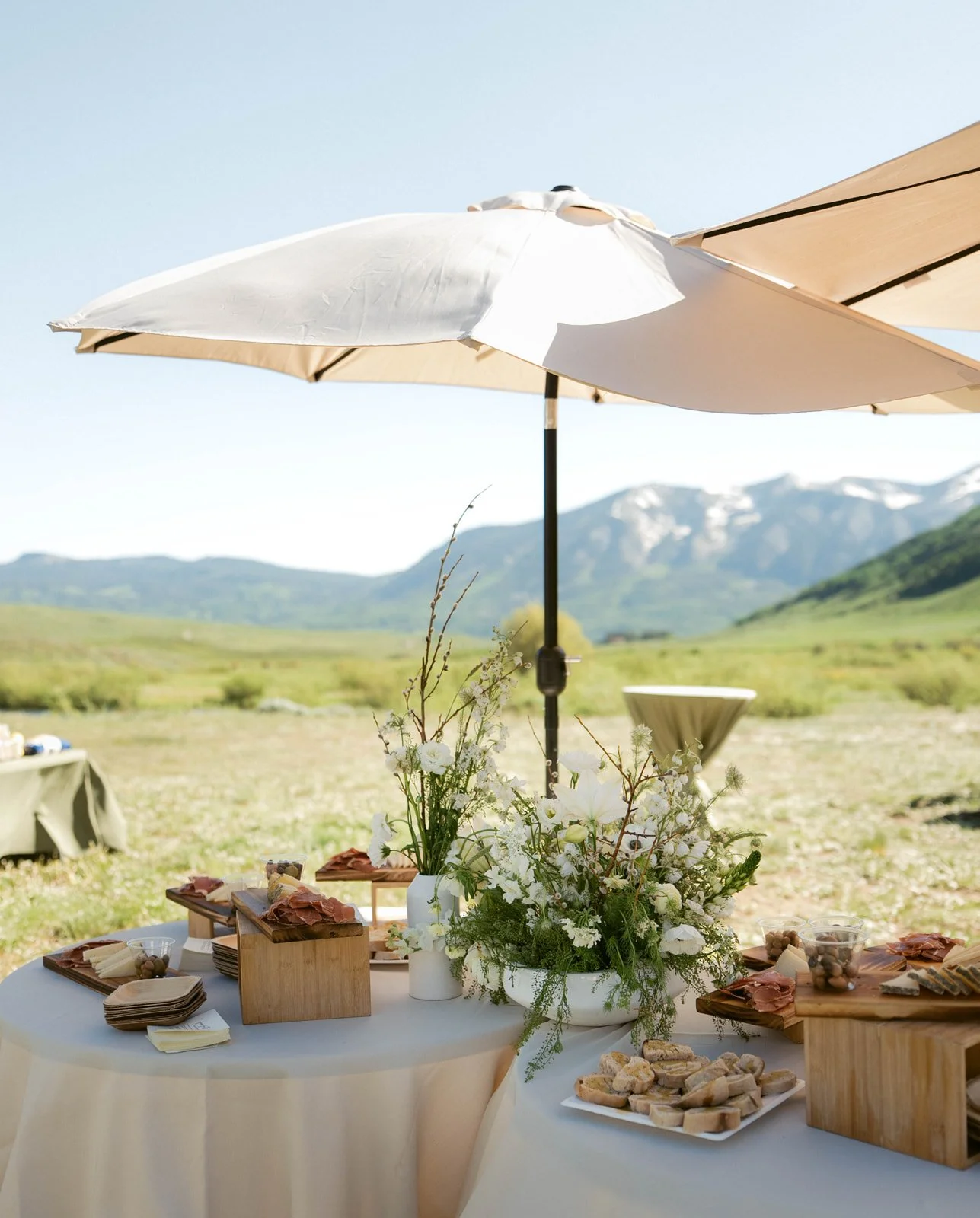 Leah Black Photography-Mack + Ricky Wedding-Crested Butte-976_websize.jpg