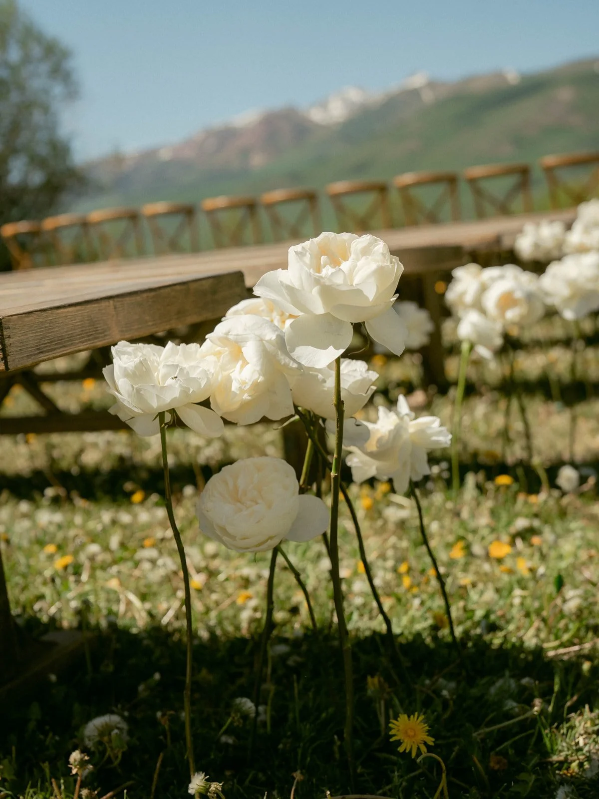Leah Black Photography-Mack + Ricky Wedding-Crested Butte-683_websize.jpg