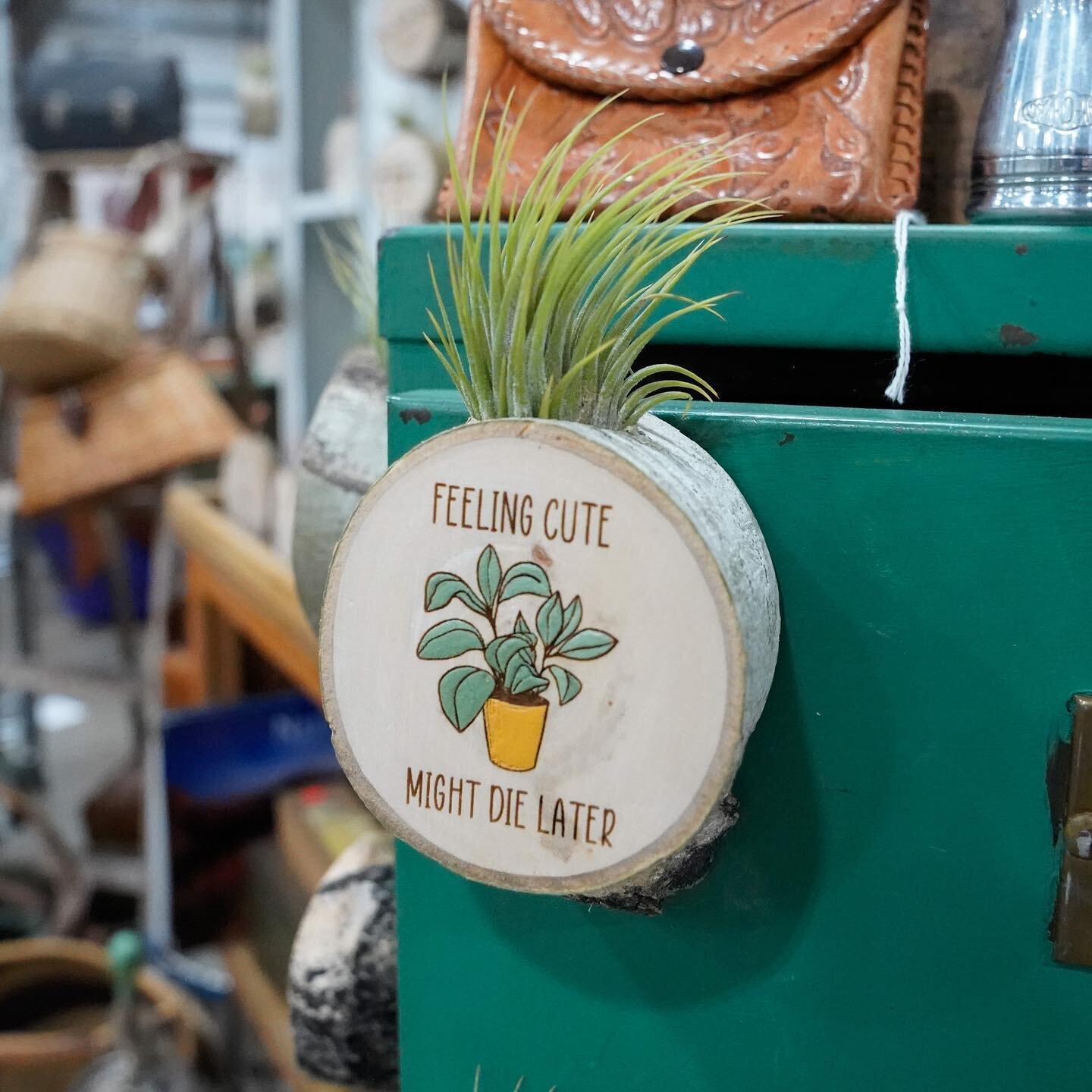 You can always count on Carmen from @thelittleshopmontana to bring the cutest airplants, gifts, clothes, and knick-knacks to our markets! Be sure to stop by her booth if you&rsquo;re looking for an adorable and meaningful gift (for a friend or yourse