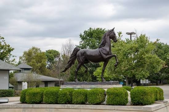 Lexington