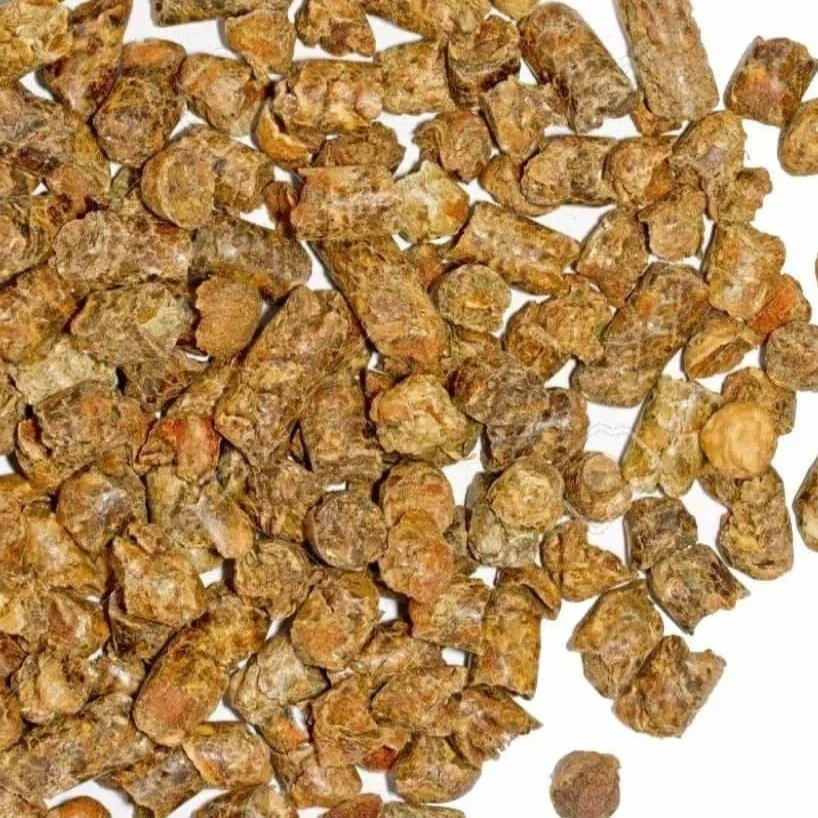 Citrus Dried Pulp