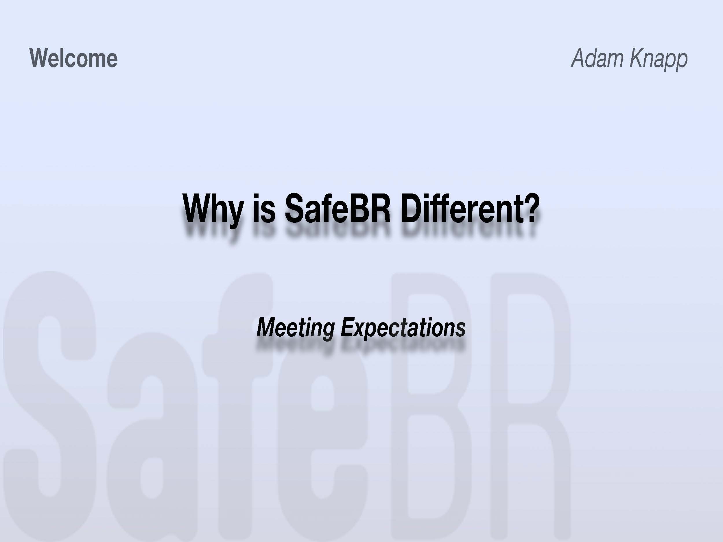 2023.05.10 SafeBR Partner Presentation _Page_03.jpg