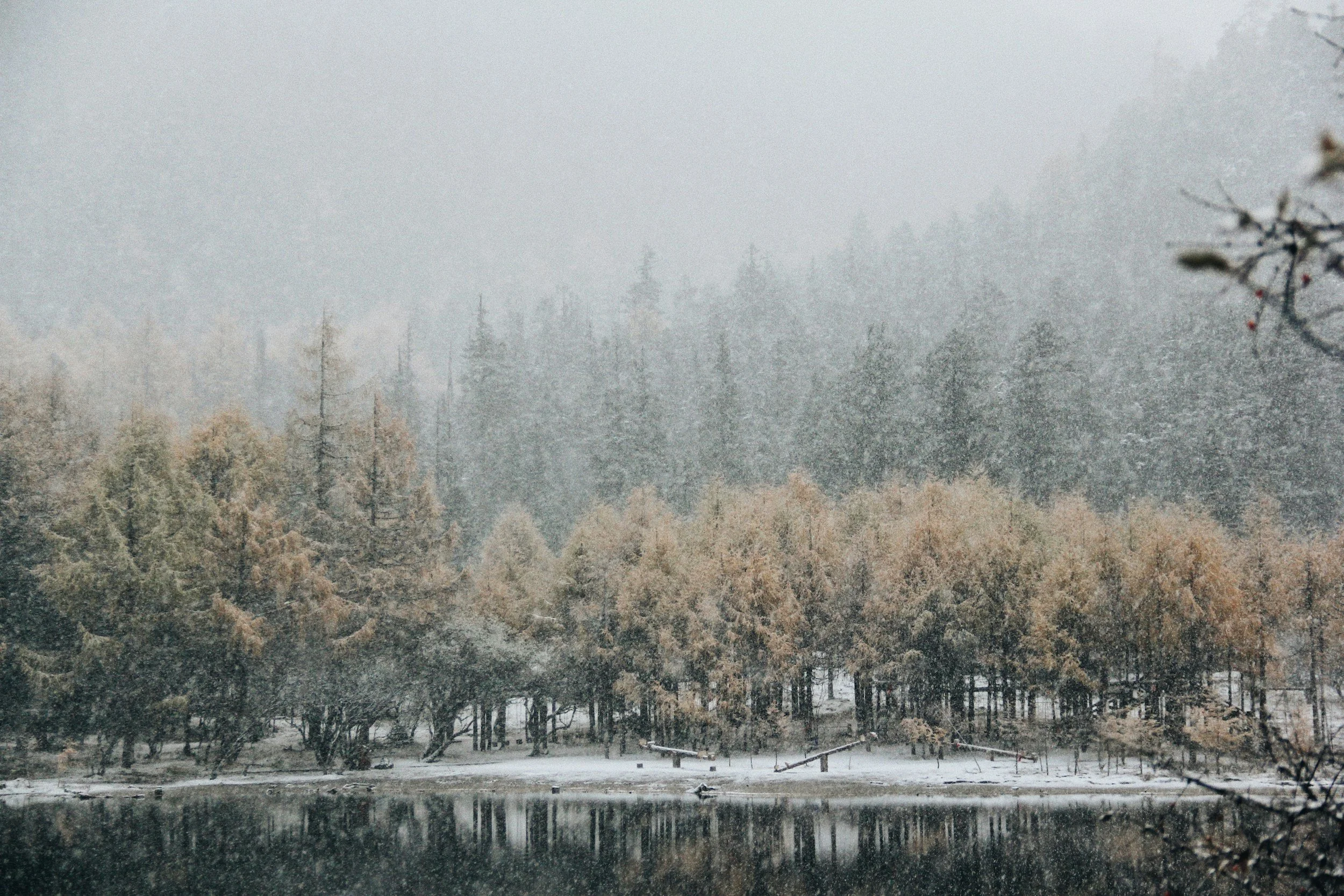 How Online Therapy Works in Maine (And Whether It’s Right for You)