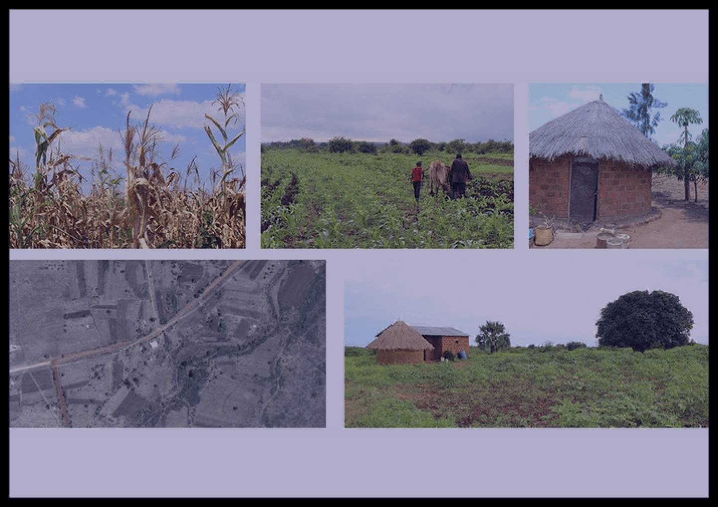 “We like insects here”: entomophagy and society in a Zambian village