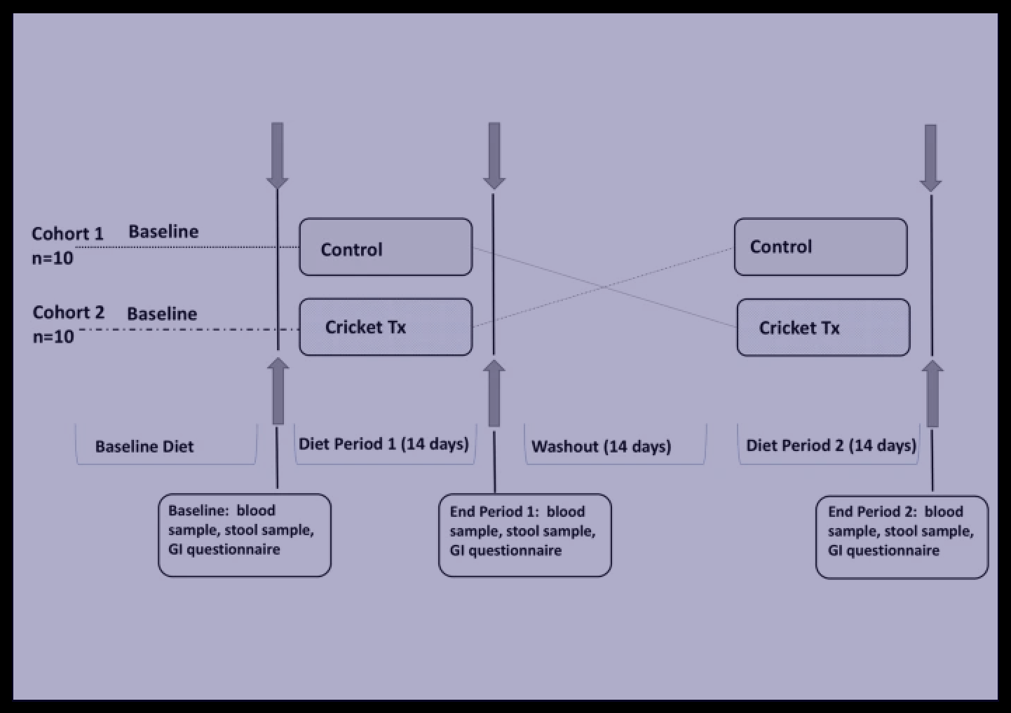 Impact of Edible Cricket Consumption on Gut Microbiota in Healthy Adults, a Double-blind, Randomized Crossover Trial