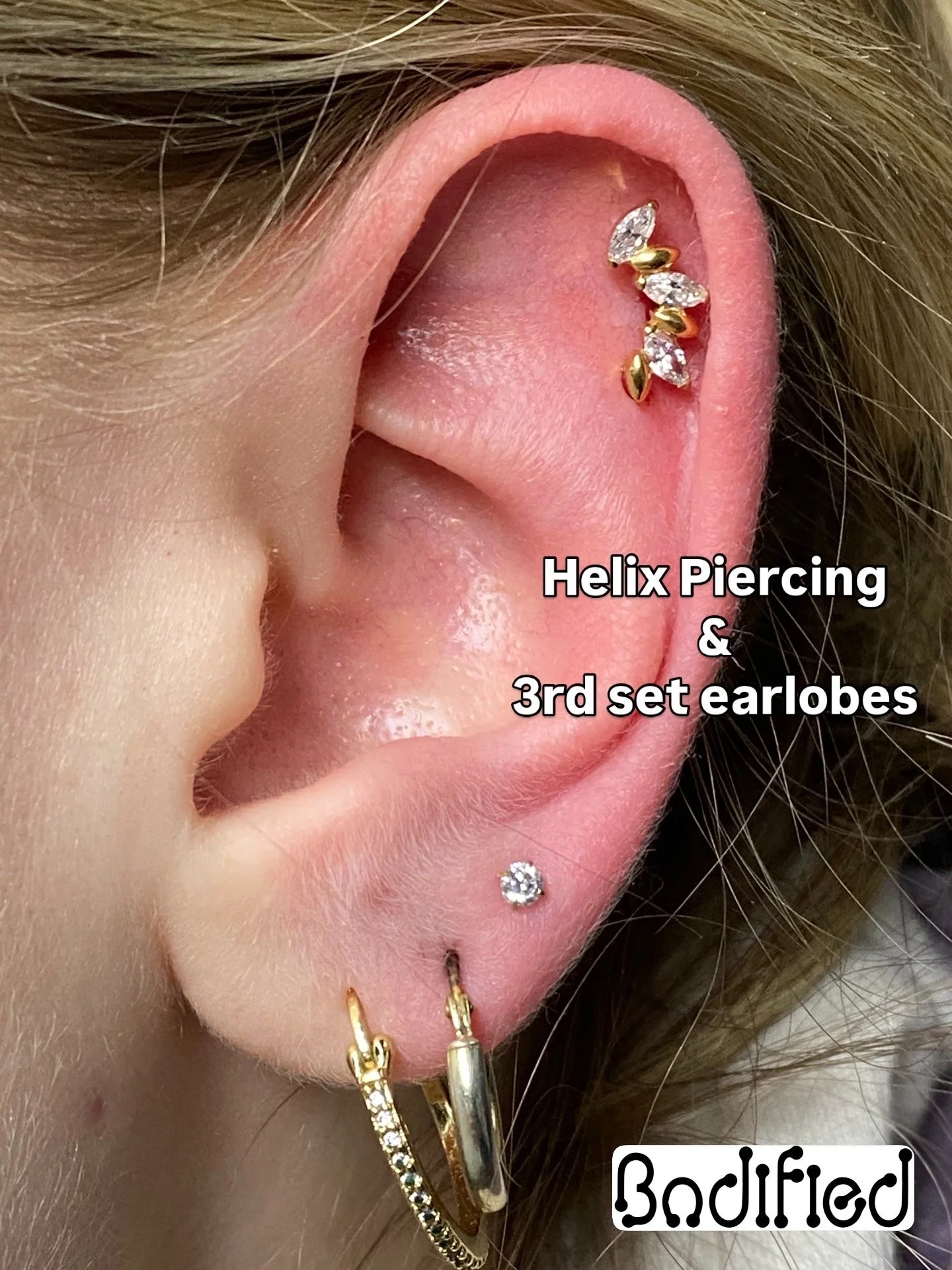 Helix & 3rd Set Earlobes 