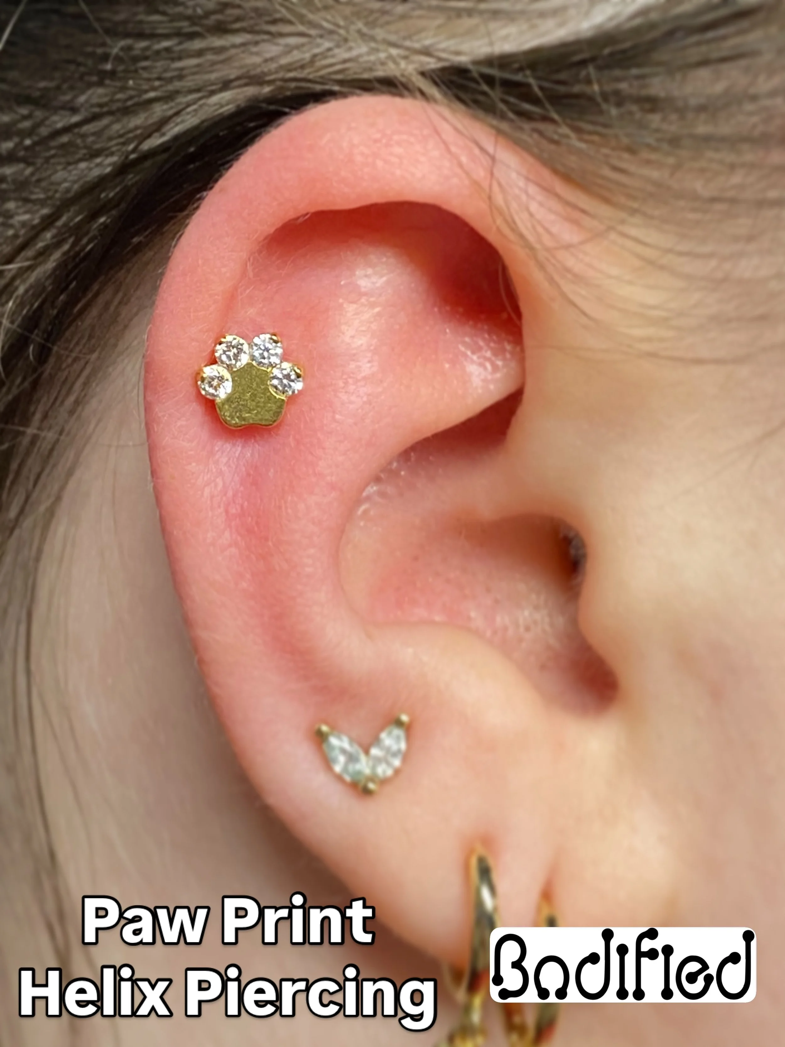 Paw Print Helix Piercing