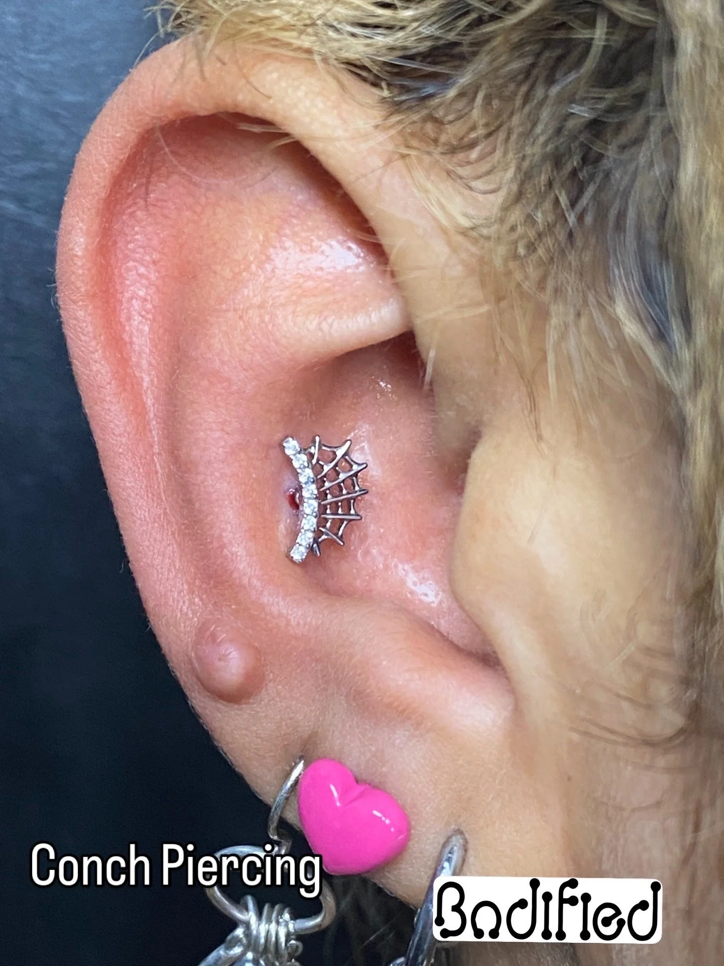 Conch Piercing
