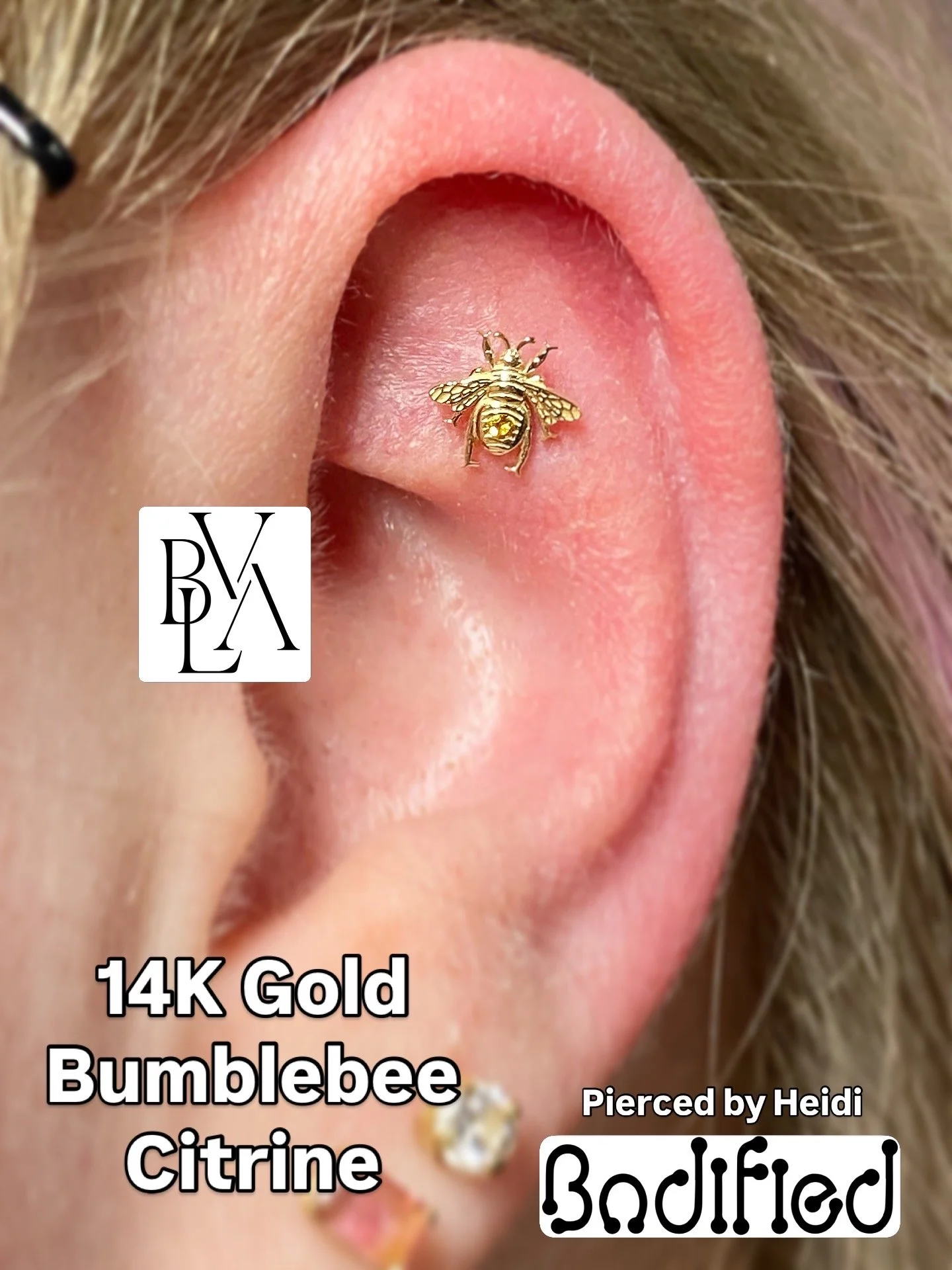 14K Gold Bumblebee by BVLA. Pierced by Heidi.