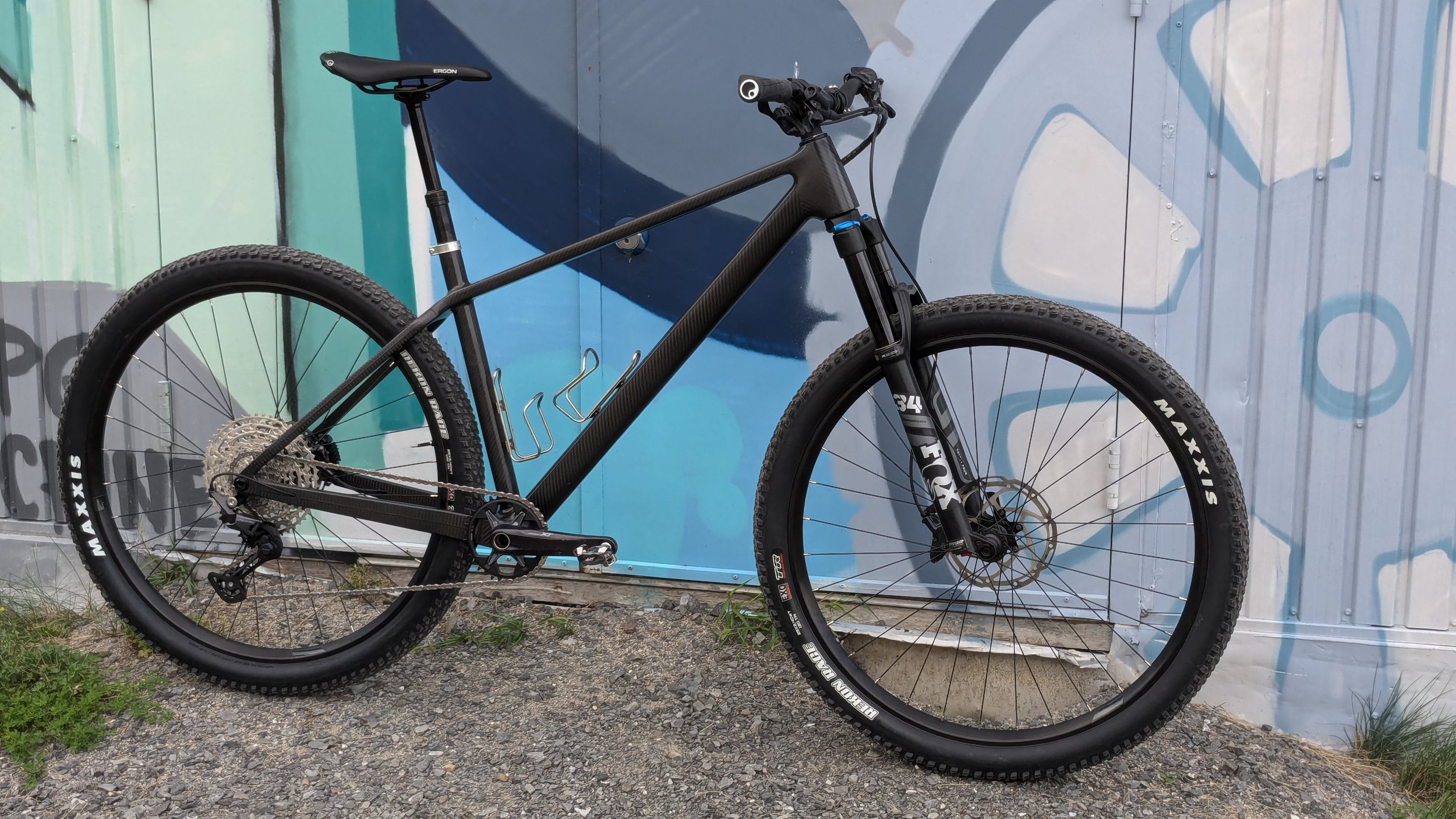 Carbon Fiber Hardtail
