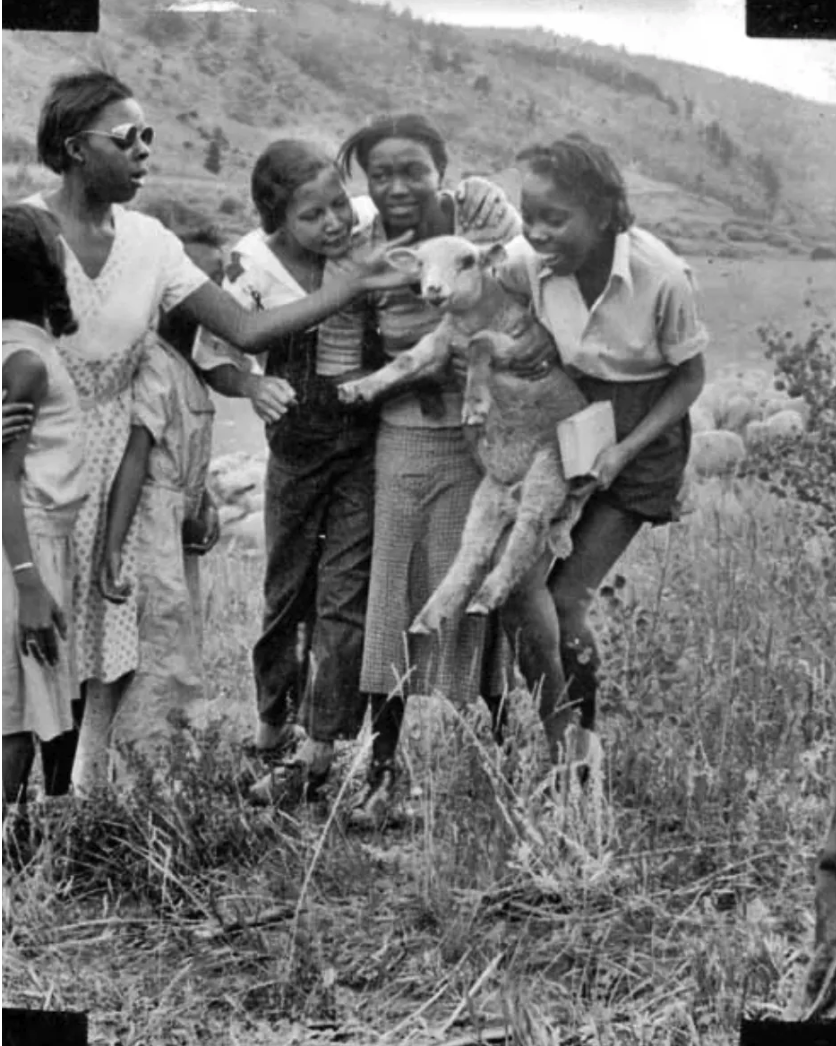 Screenshot 2026-03-20 at 7.48.50 PM.png