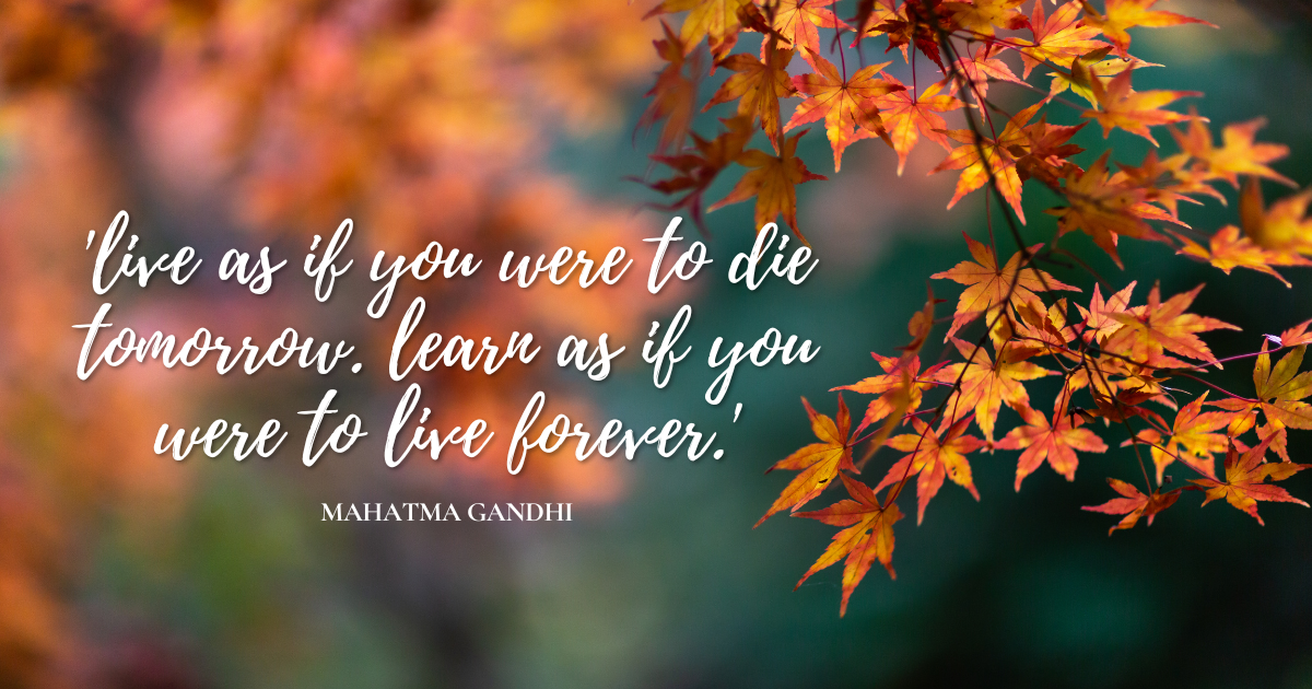 'live as if you were to die tomorrow. learn as if you were to live forever.'