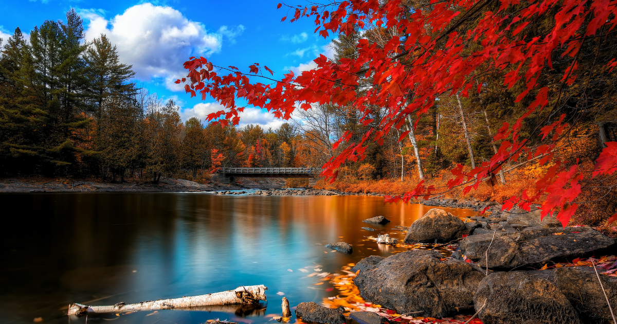 Autumn In Nova Scotia.png