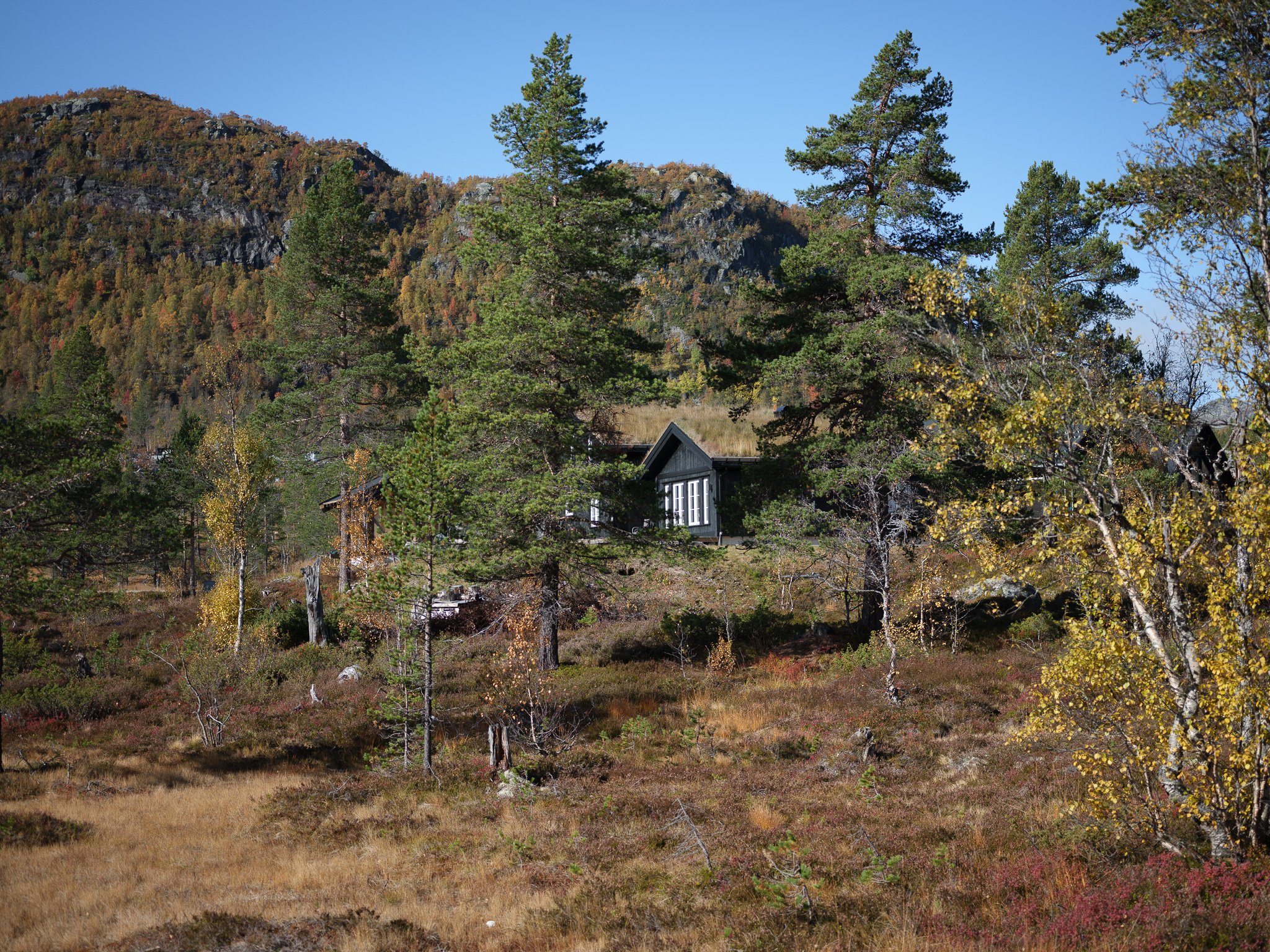 DSCF6614.jpg