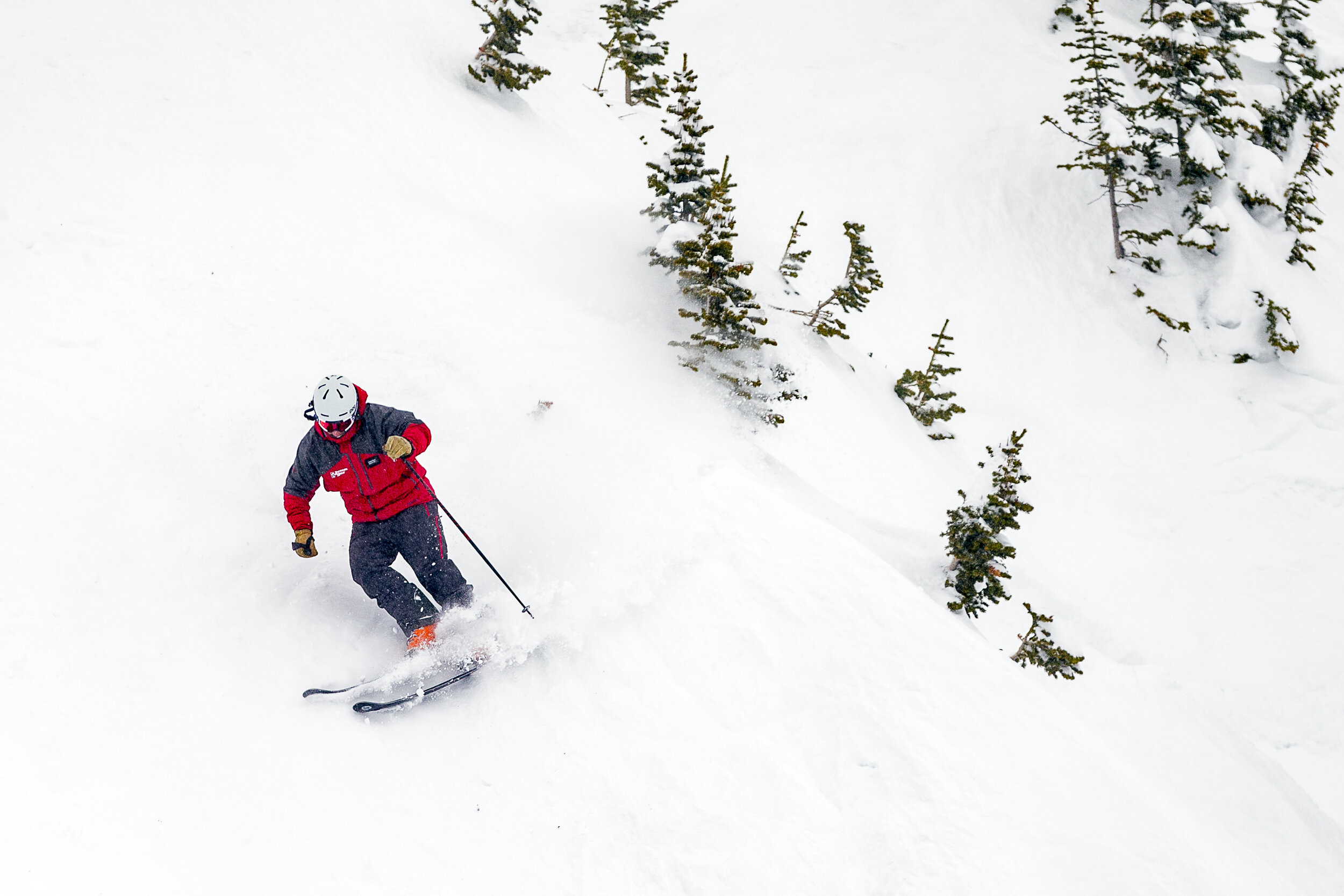 December Newsletter: Join Us for the 3rd Annual Skiing with the Stars!