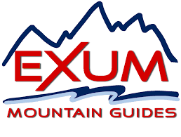 Exum Logo (2).png