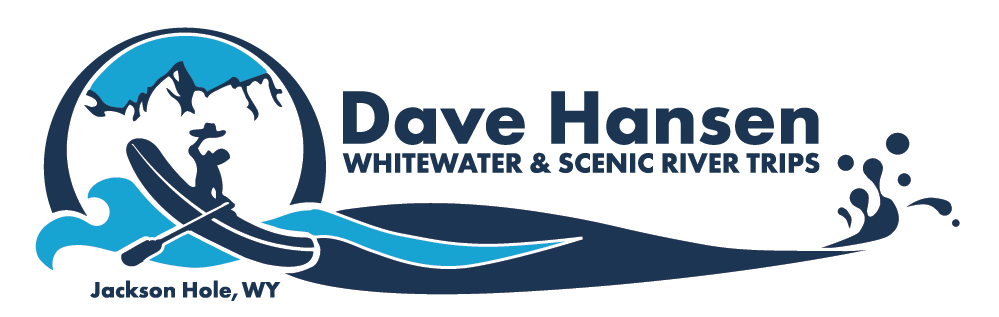 Dave Hansen logo.png