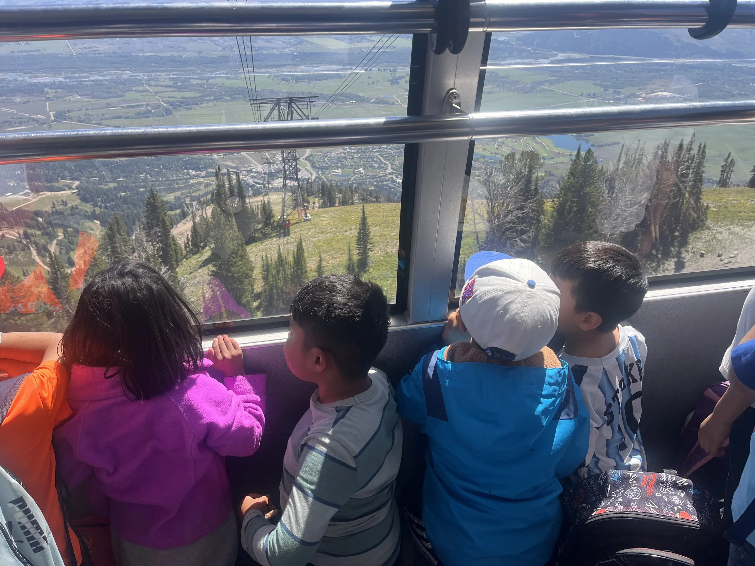 IMG_8861.jpeg