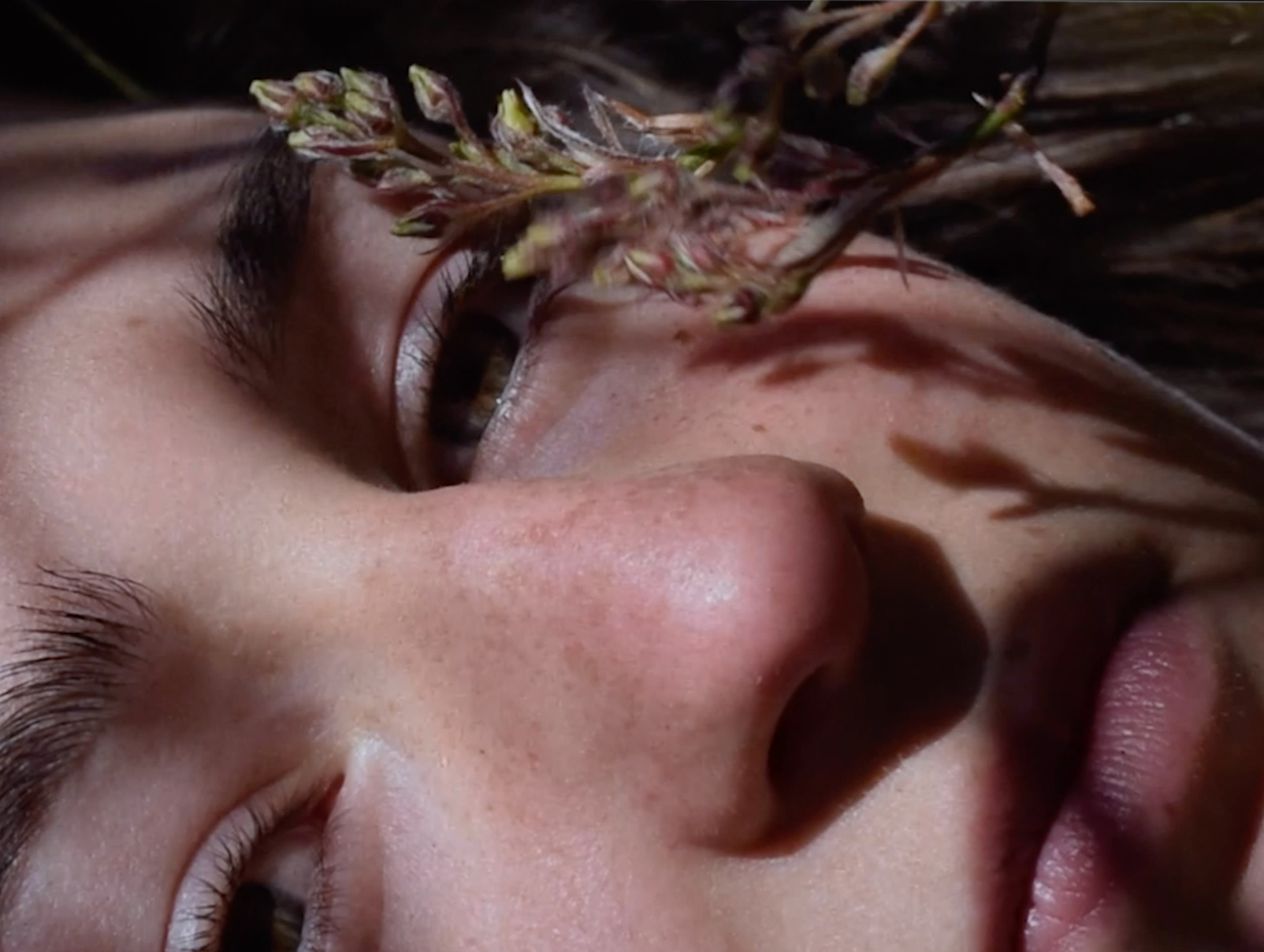 Schermafbeelding 2022-10-25 om 13.36.12.png