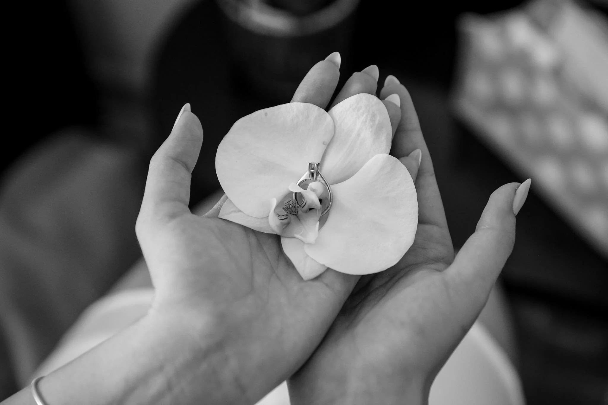 21167433_837094736450682_7801566950783686136_o copy.jpg