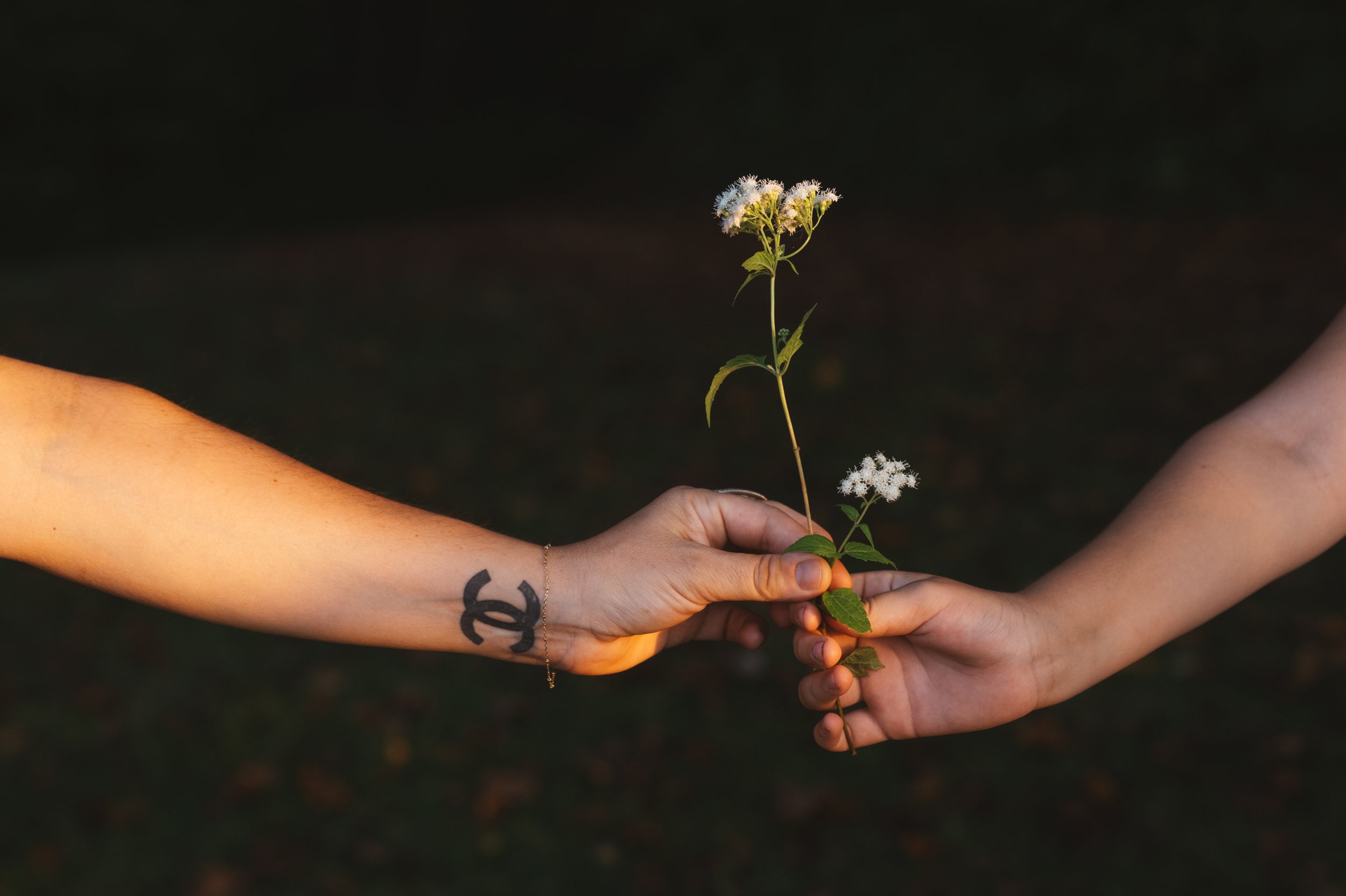 flowerhandoff.jpg