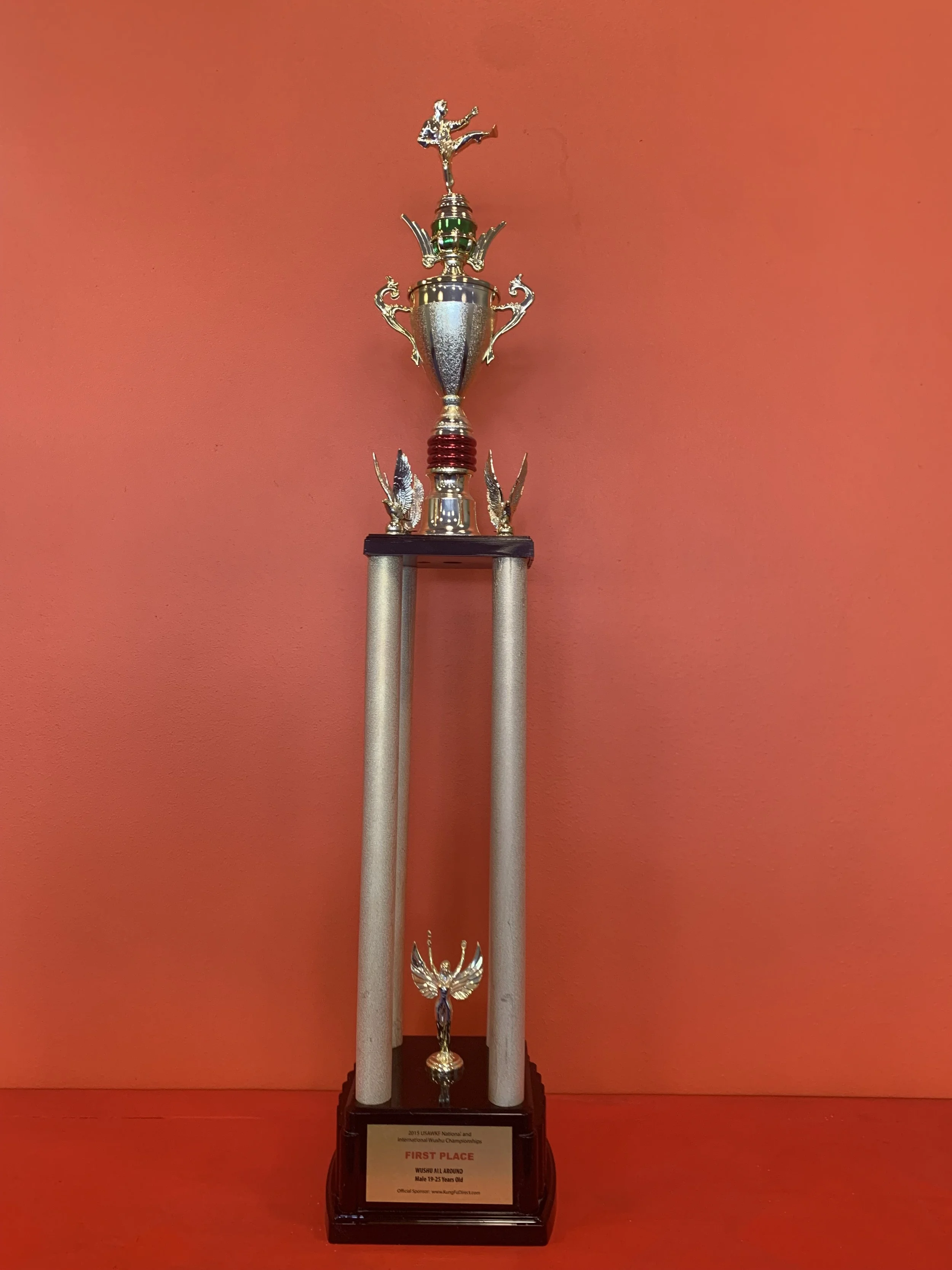 2015 USAWKF National and International Wushu Championships, First Place, Wushu All-around 13-18(F)