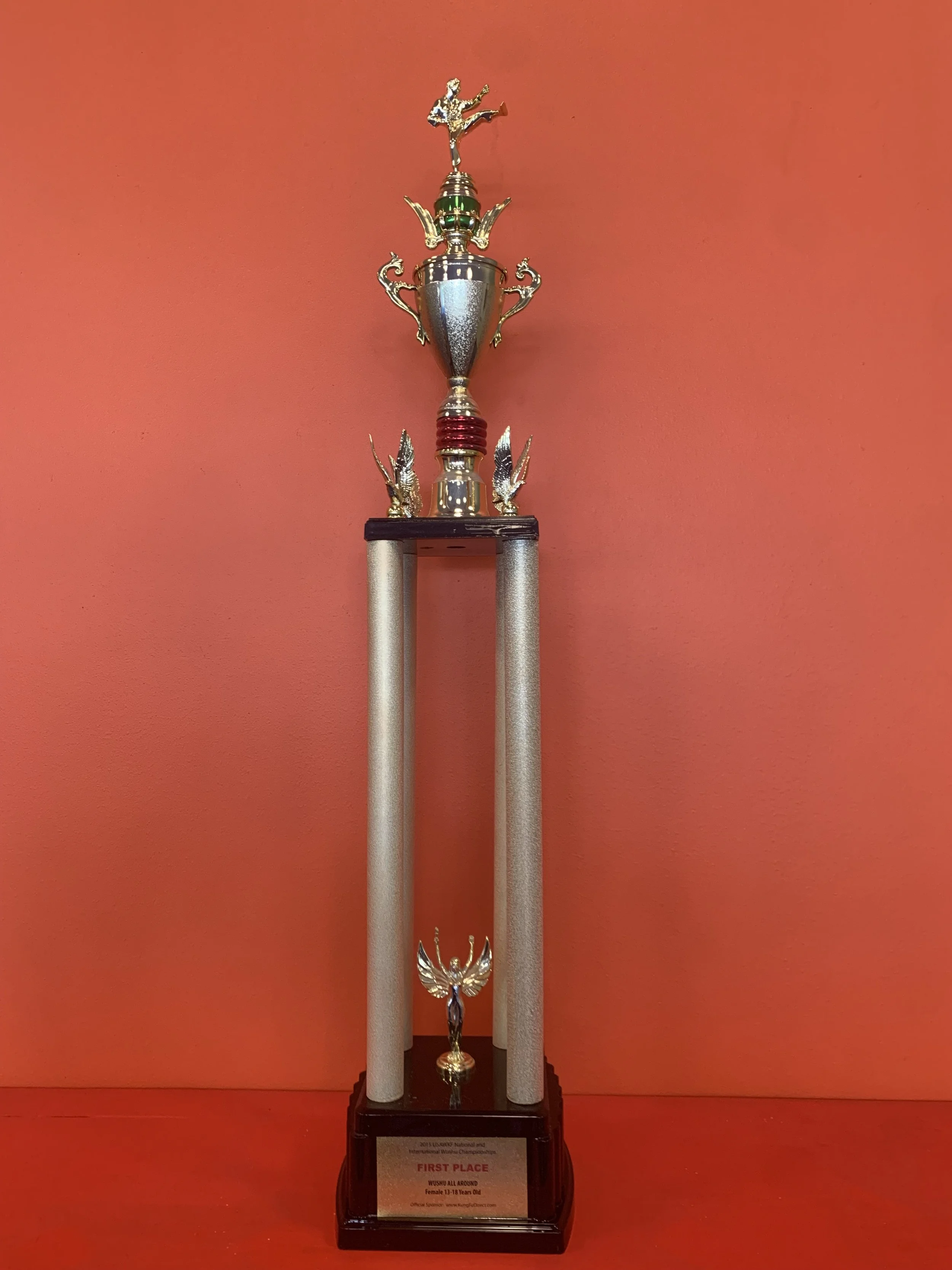 2014 USAWKF National and International Wushu Championships, First Place, Wushu All-around 13-18(M)