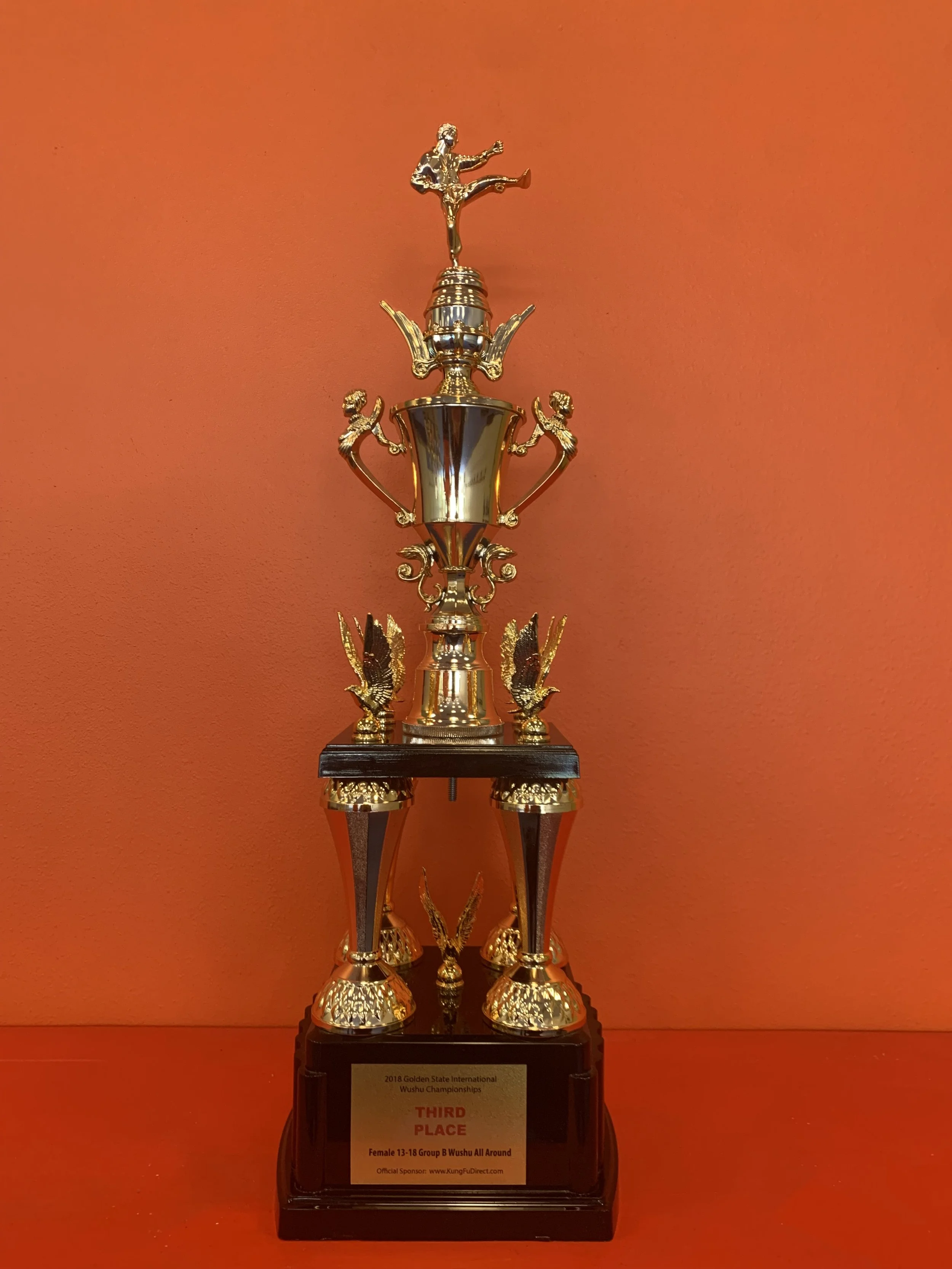 2011 USAWKF US International Wushu Championships & National Wushu Team Trials, ALL-AROUND THIRD PLACE